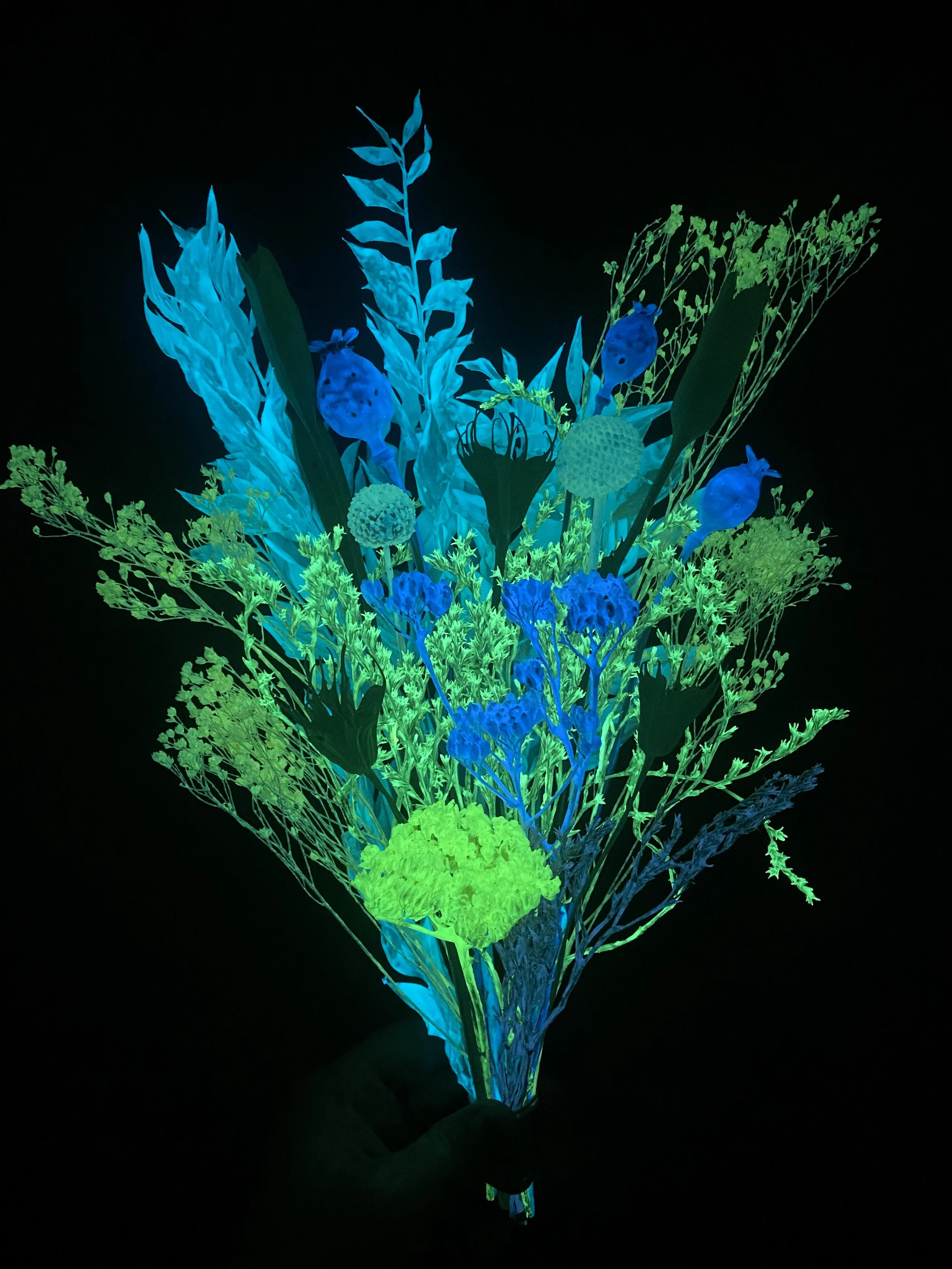 Photo Apr 28 2026, 1 33 03 PM.jpg