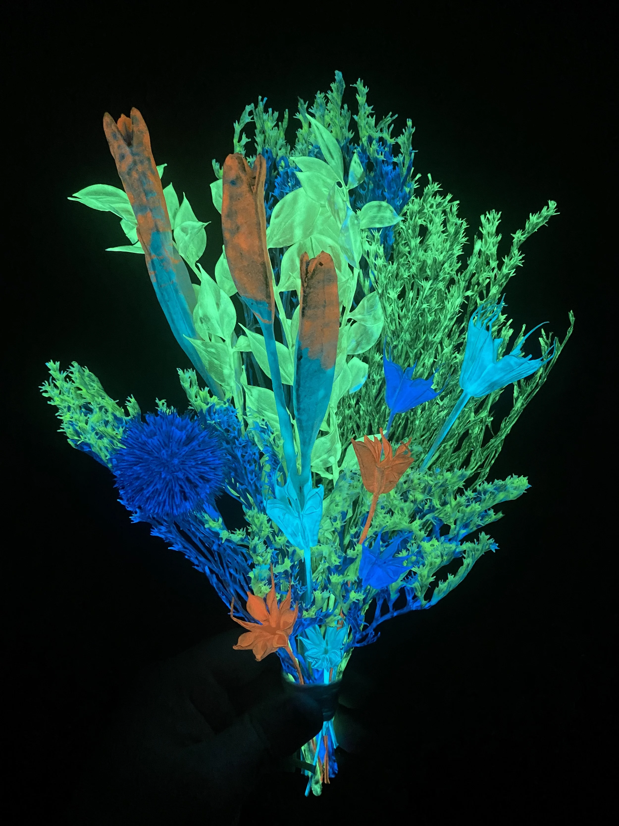 Photo Apr 28 2026, 10 47 11 AM.jpg