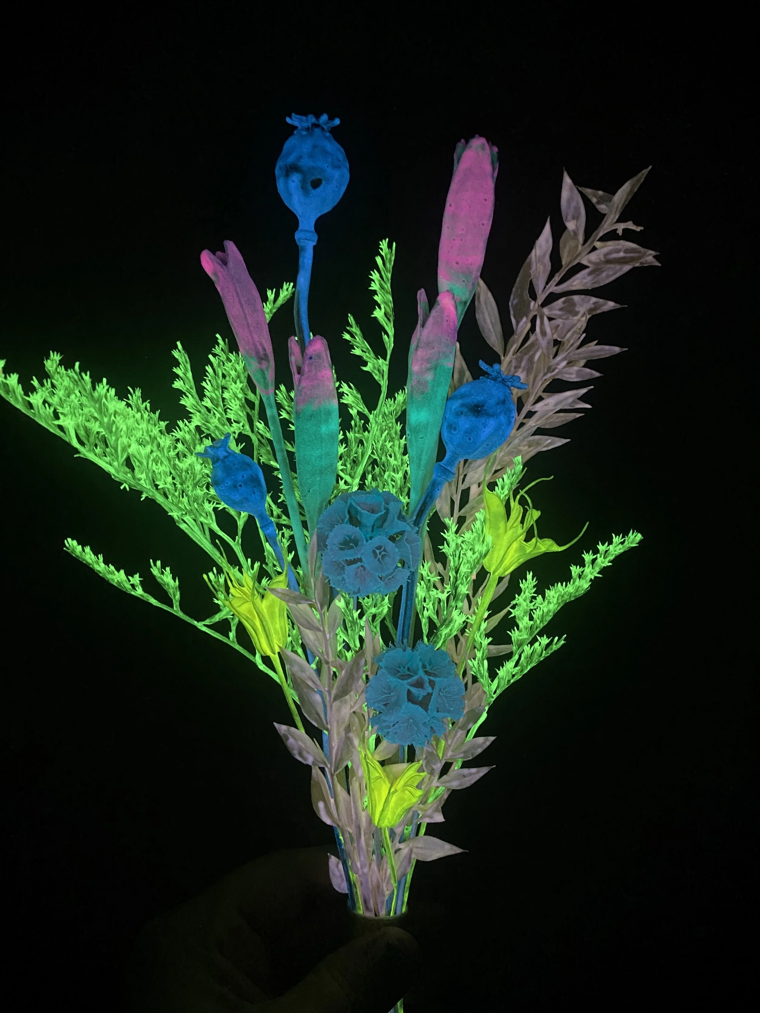 Photo Apr 28 2026, 10 44 00 AM.jpg