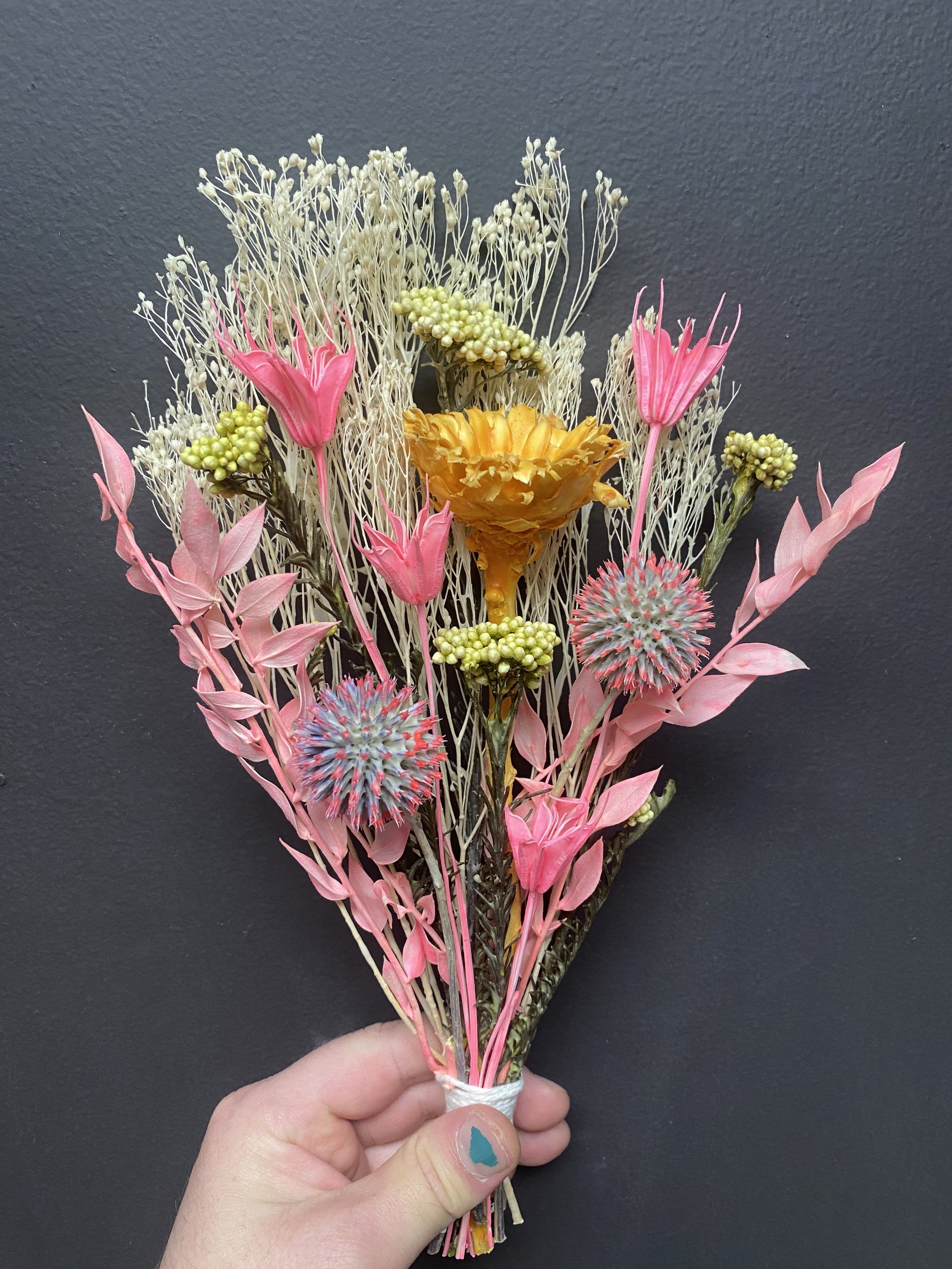 Photo Apr 28 2026, 12 17 44 PM.jpg