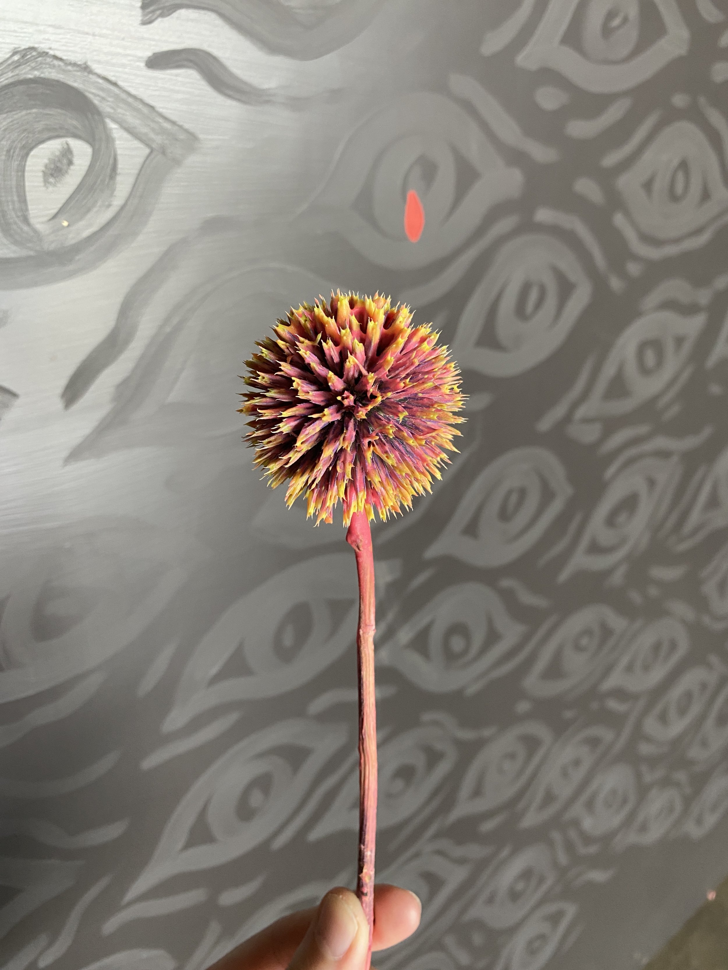 Photo Mar 13 2026, 12 50 50 PM.jpg