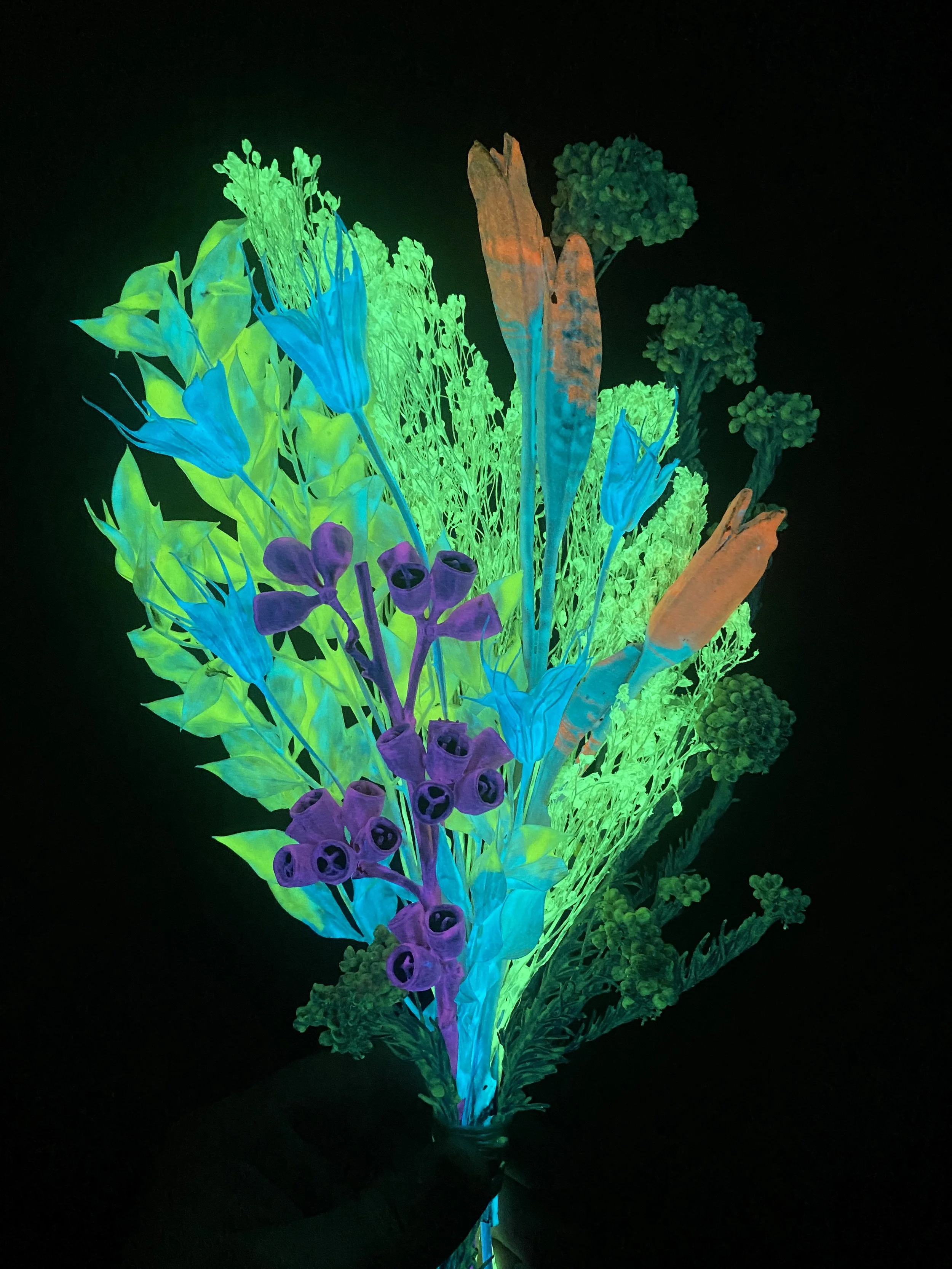 Photo Apr 28 2026, 10 51 31 AM.jpg