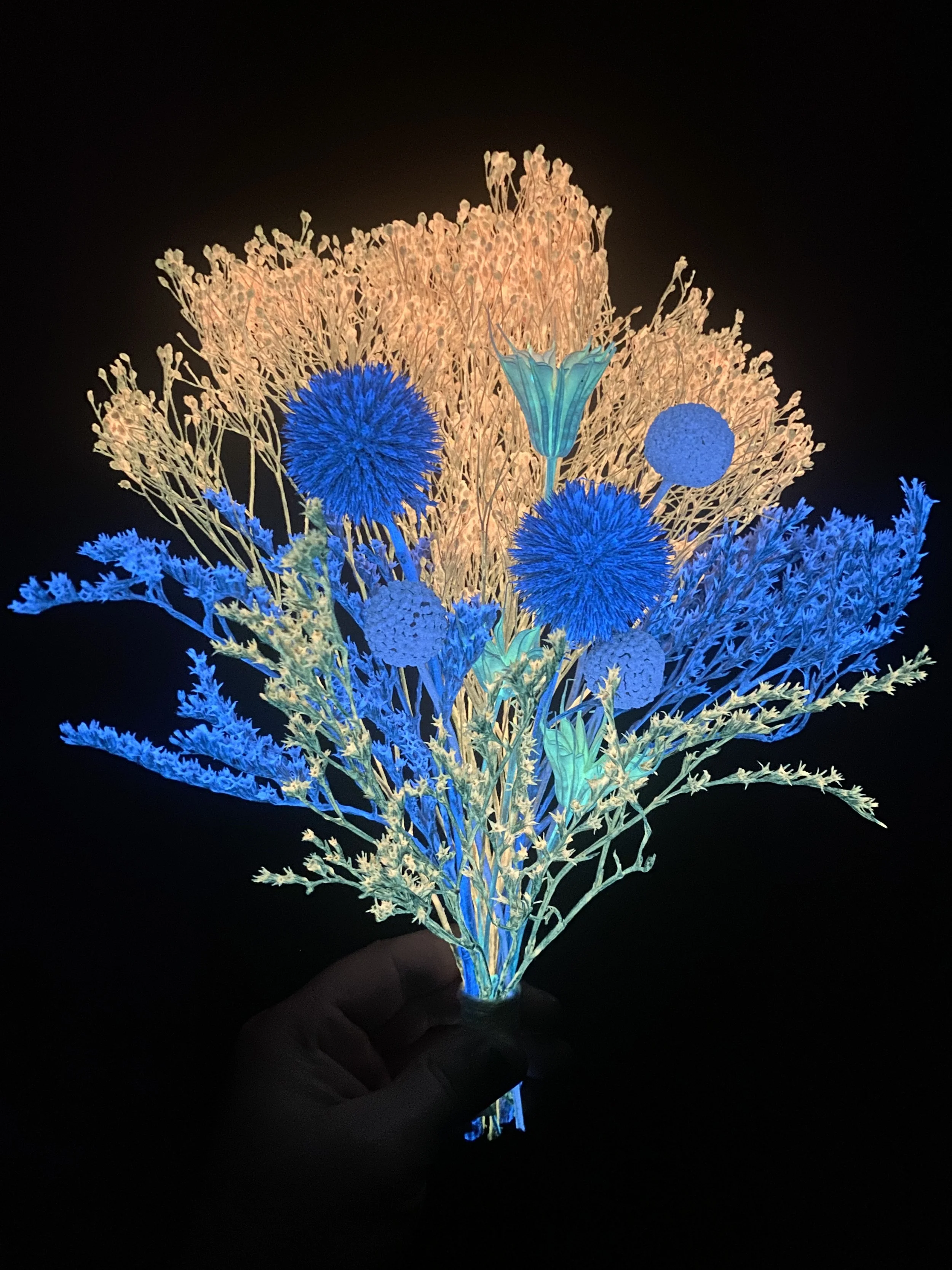 Photo Apr 28 2026, 12 27 31 PM.jpg