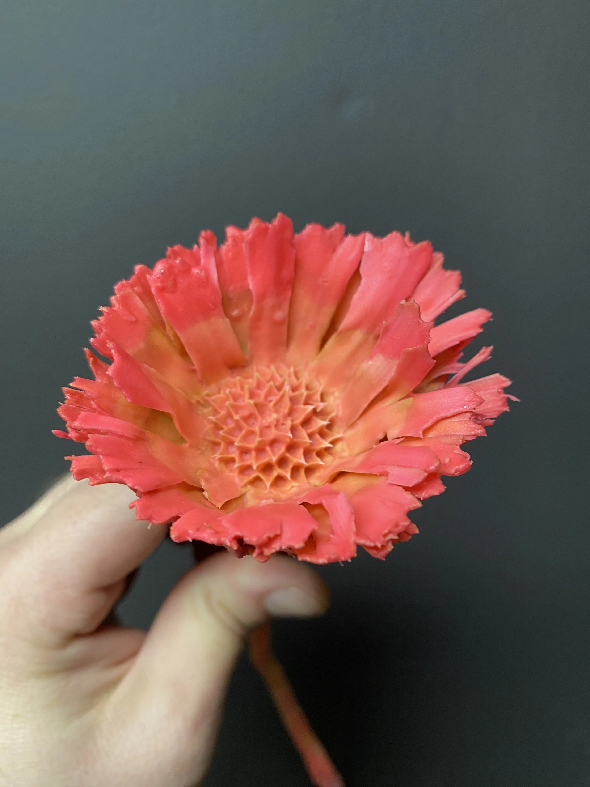 Photo Jan 29 2026, 5 53 24 PM.jpg