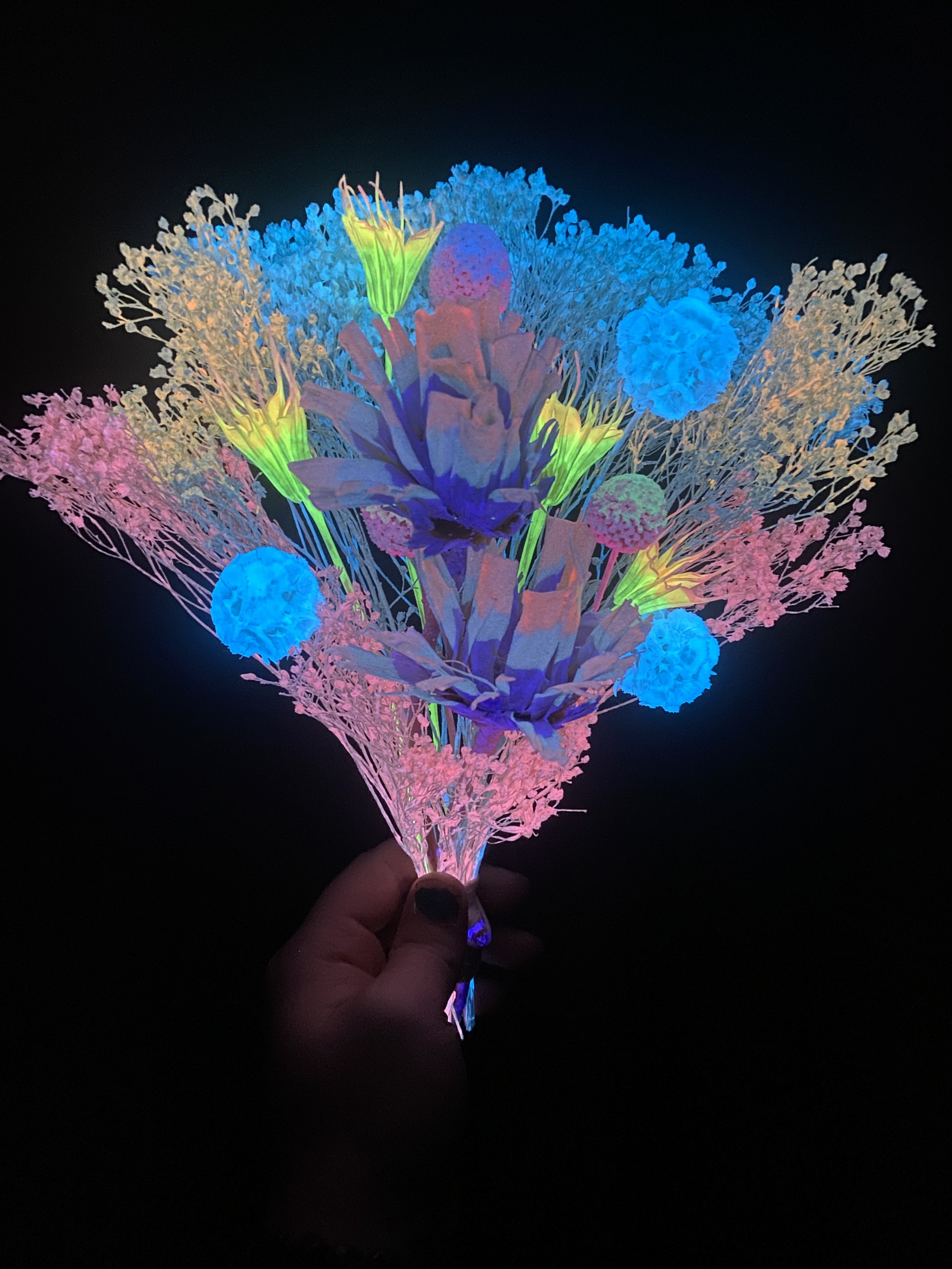 Photo Apr 17 2026, 3 59 56 PM.jpg