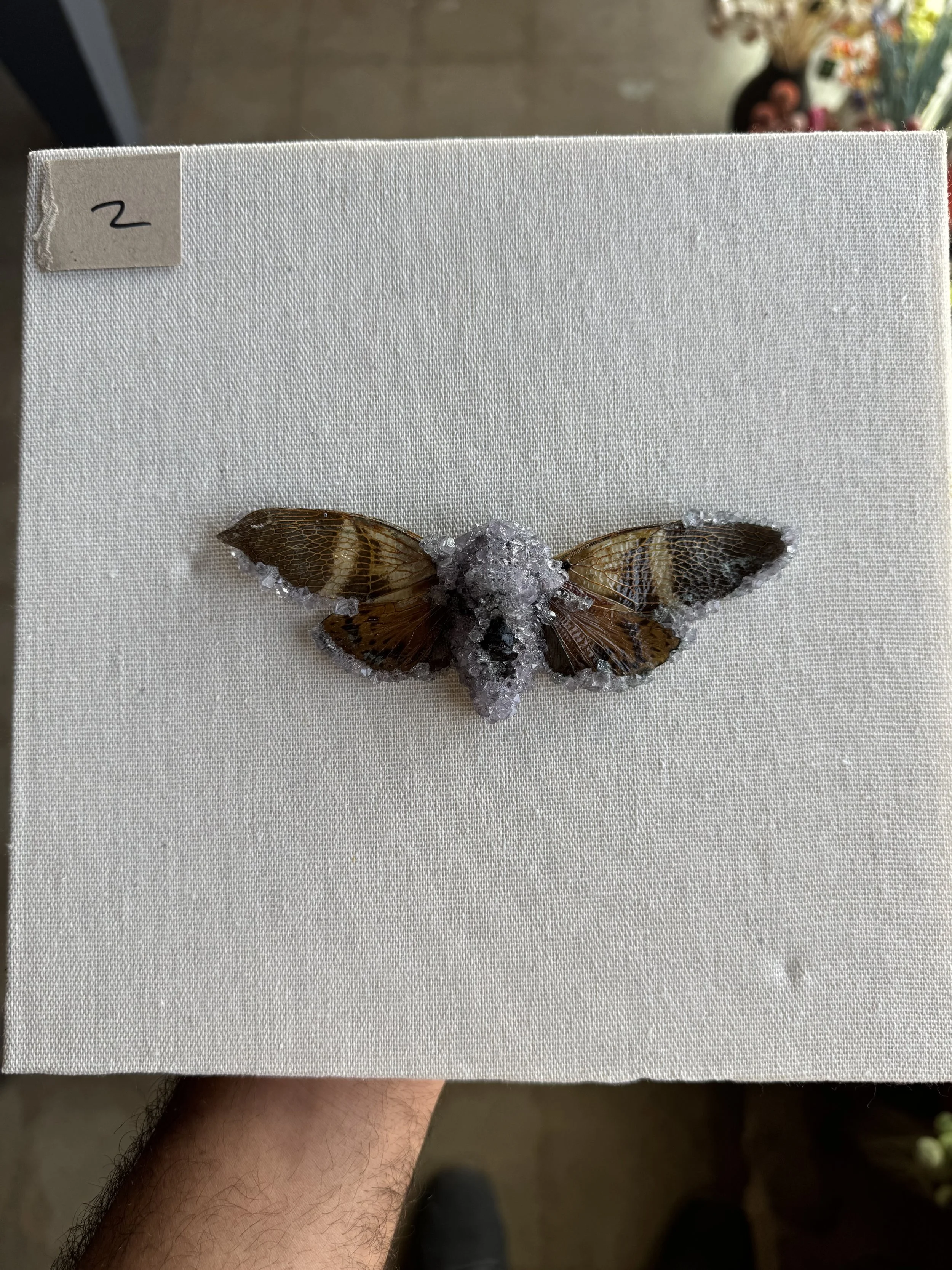 Photo Apr 29 2026, 9 47 52 AM.jpg