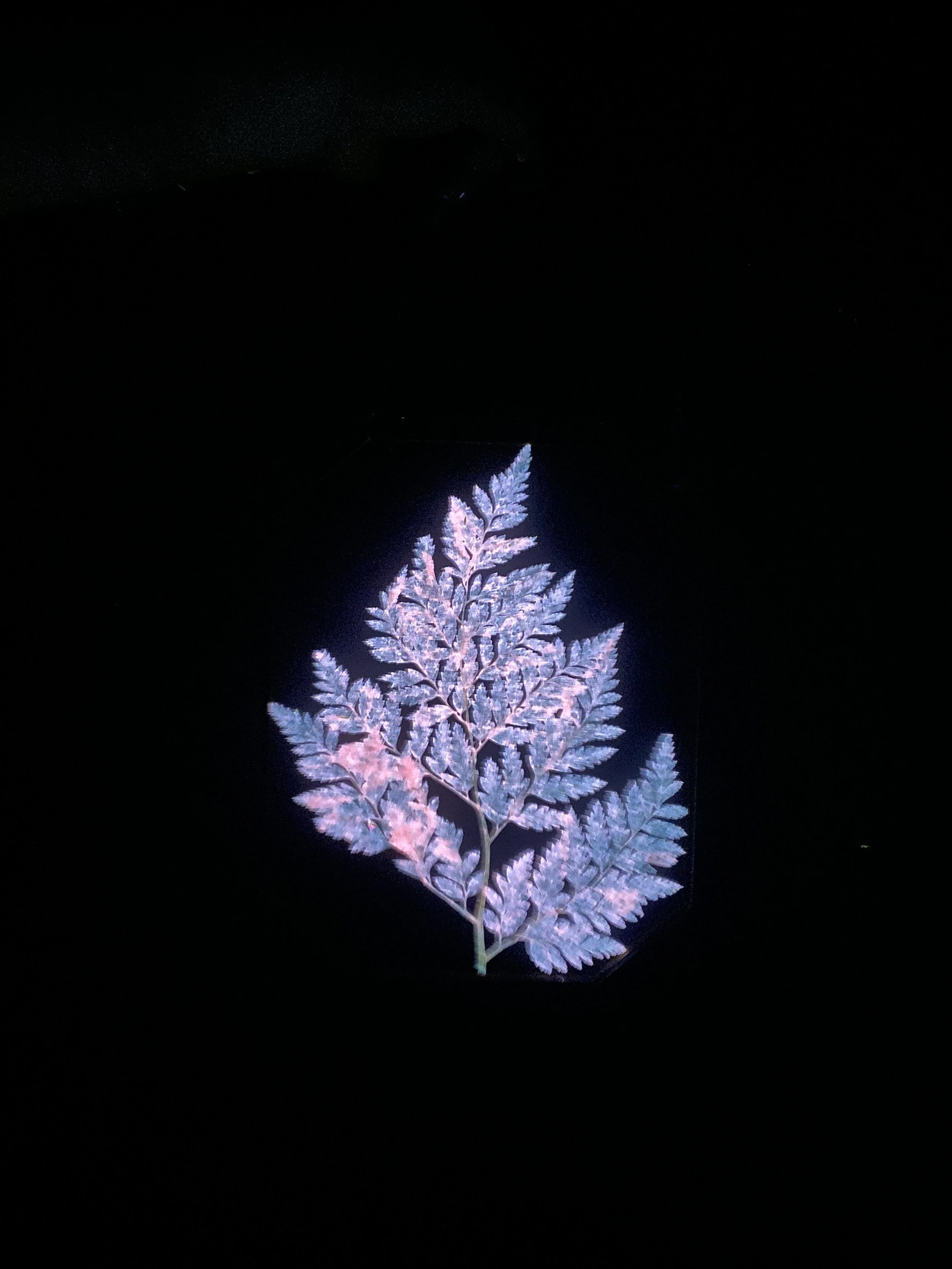 Photo Feb 26 2026, 11 42 22 AM.jpg