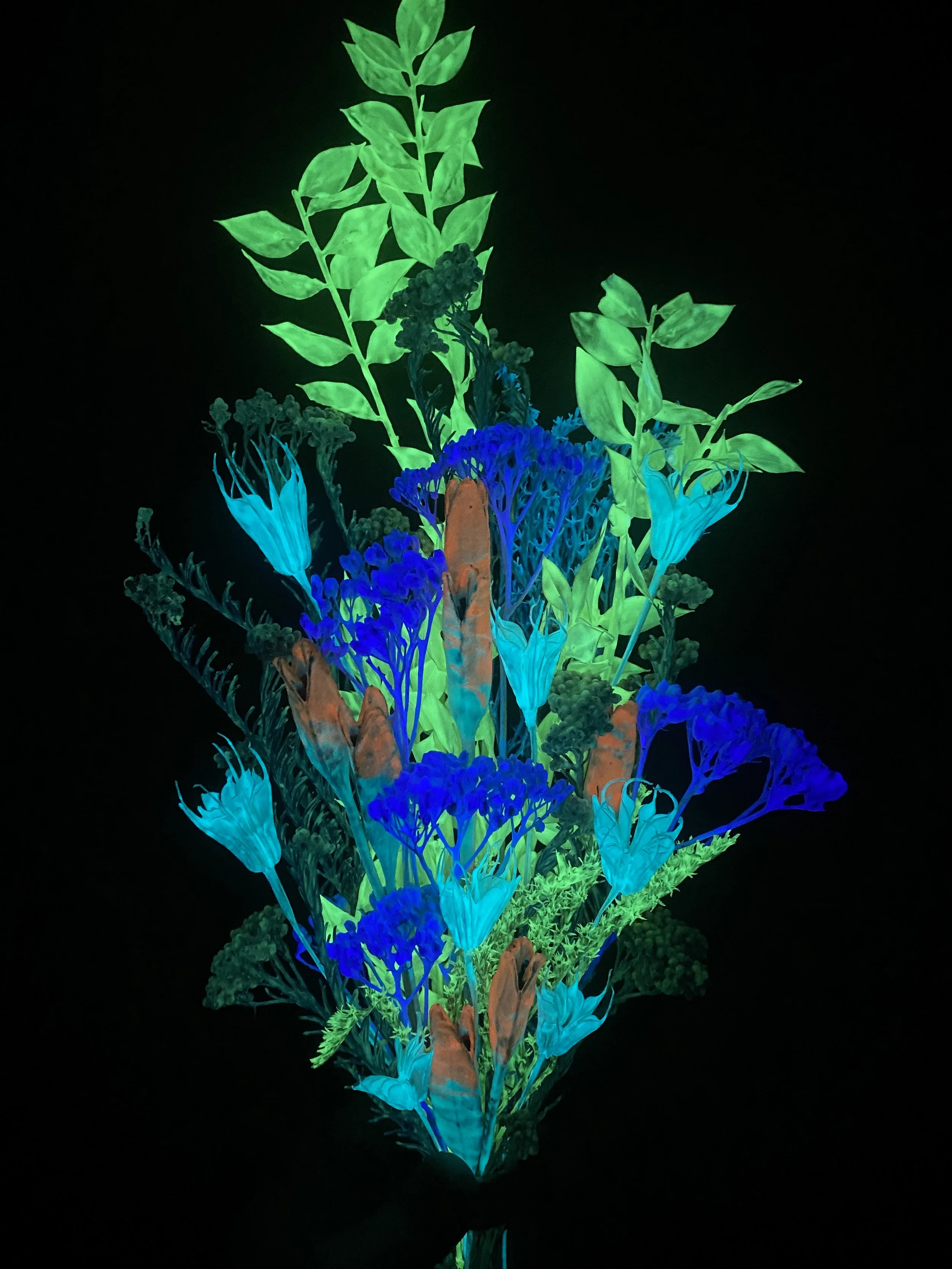 Photo Apr 28 2026, 1 07 57 PM.jpg