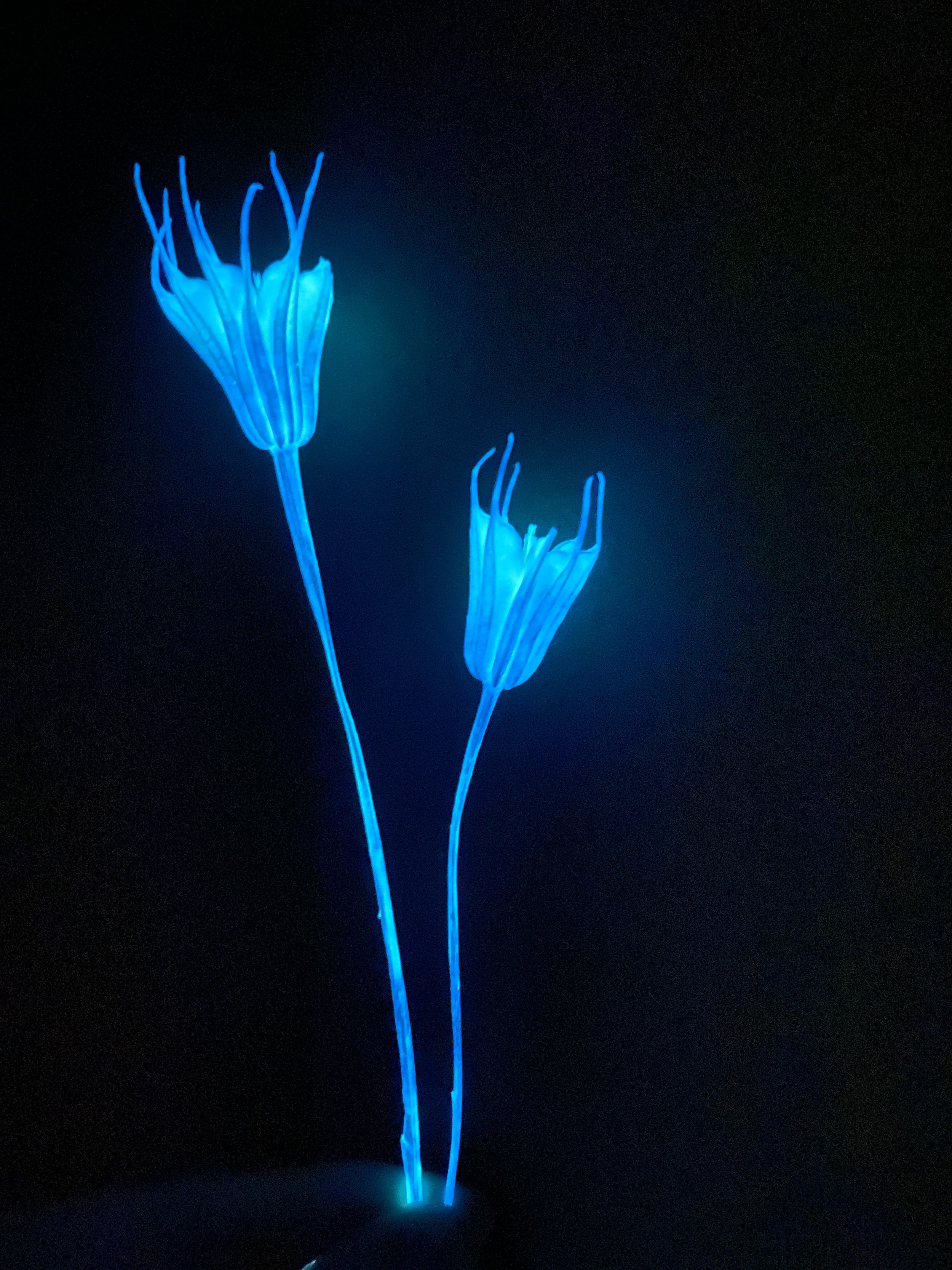 Photo Feb 19 2026, 12 38 17 PM.jpg