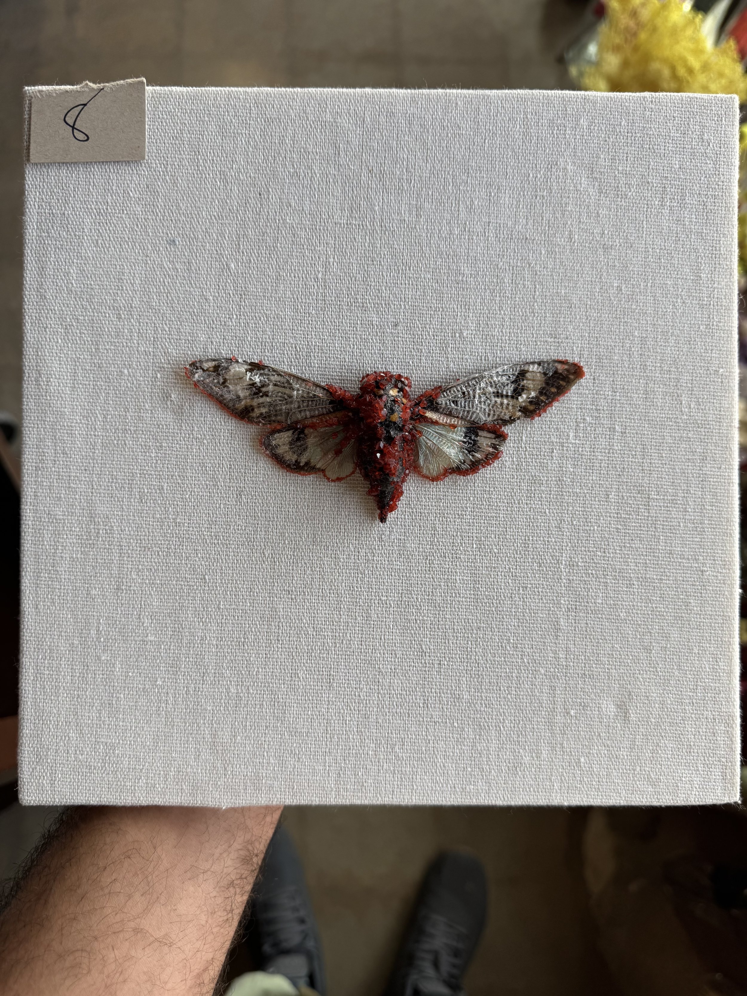 Photo Apr 29 2026, 9 55 07 AM.jpg