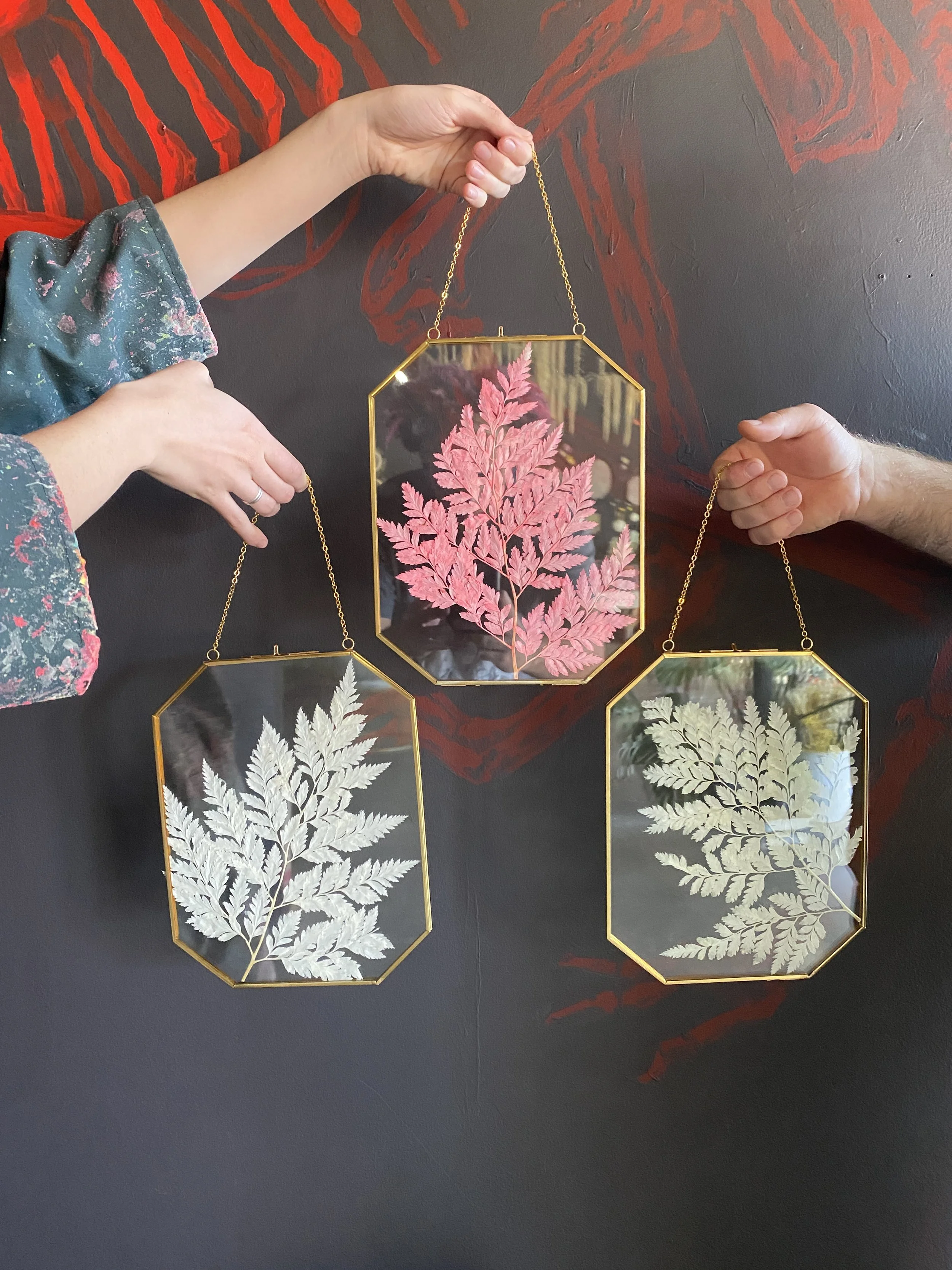 Photo Feb 26 2026, 11 36 13 AM.jpg