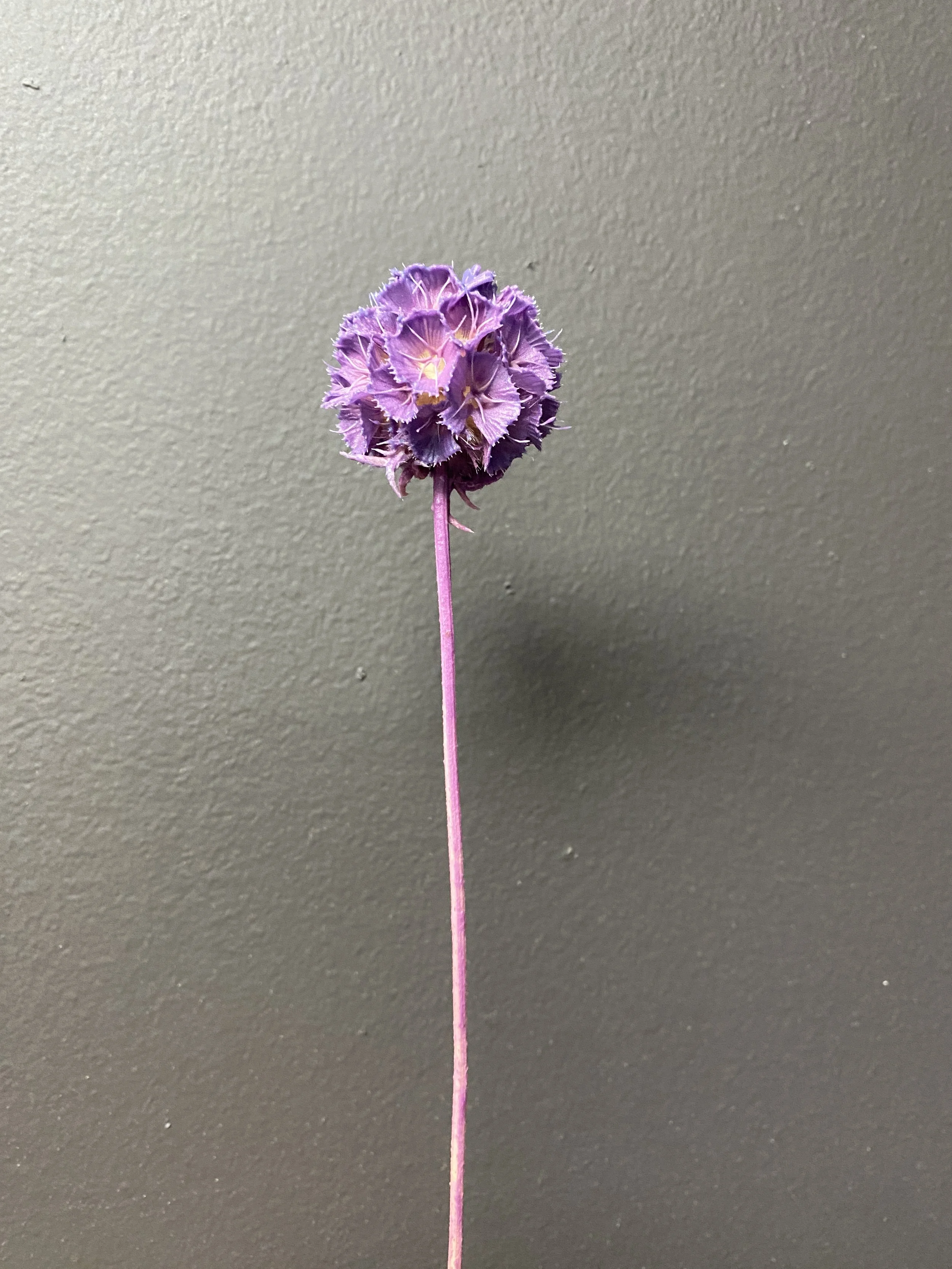 Photo Jan 15 2026, 10 40 19 AM.jpg