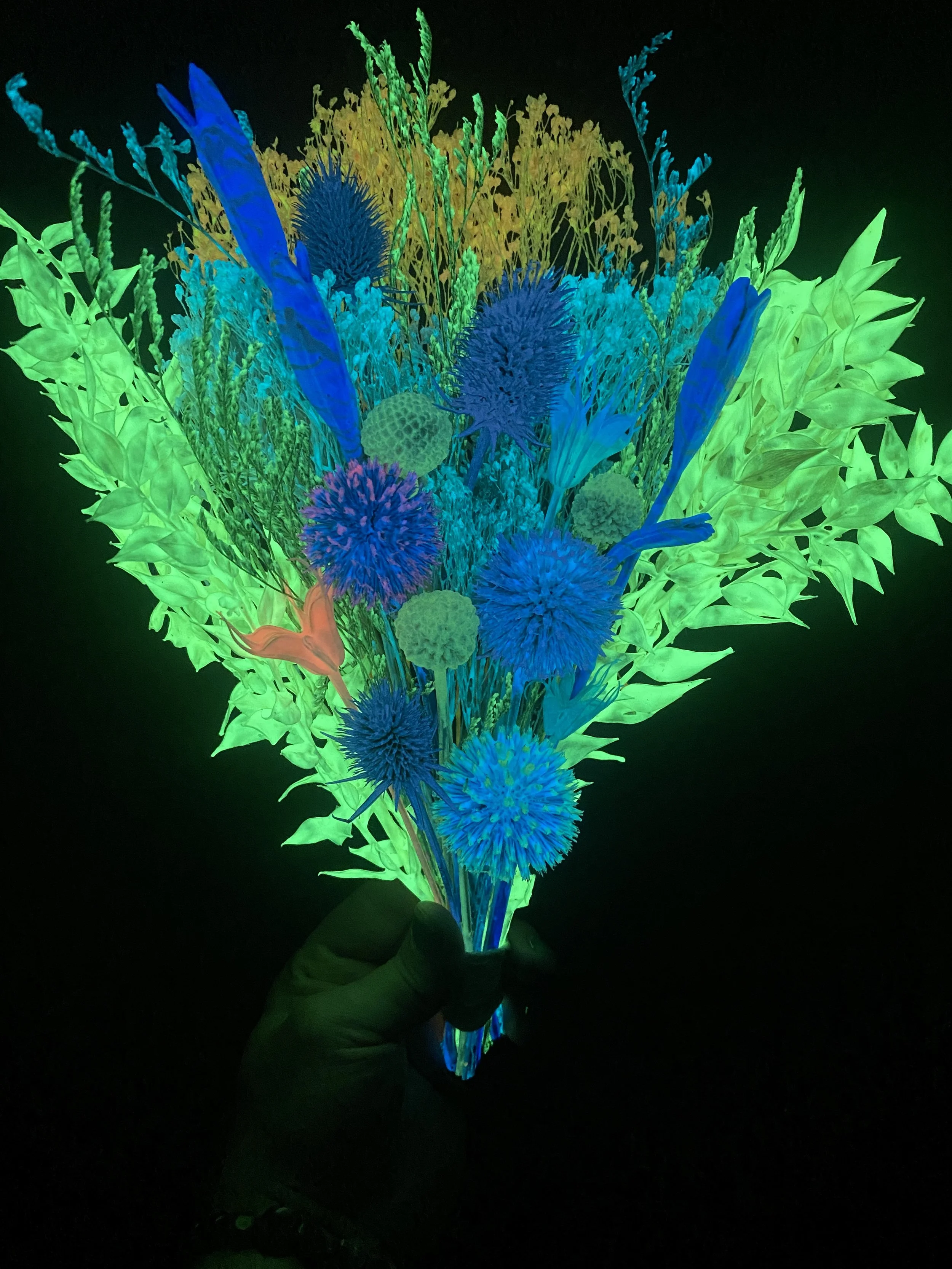 Photo Apr 17 2026, 3 58 00 PM.jpg