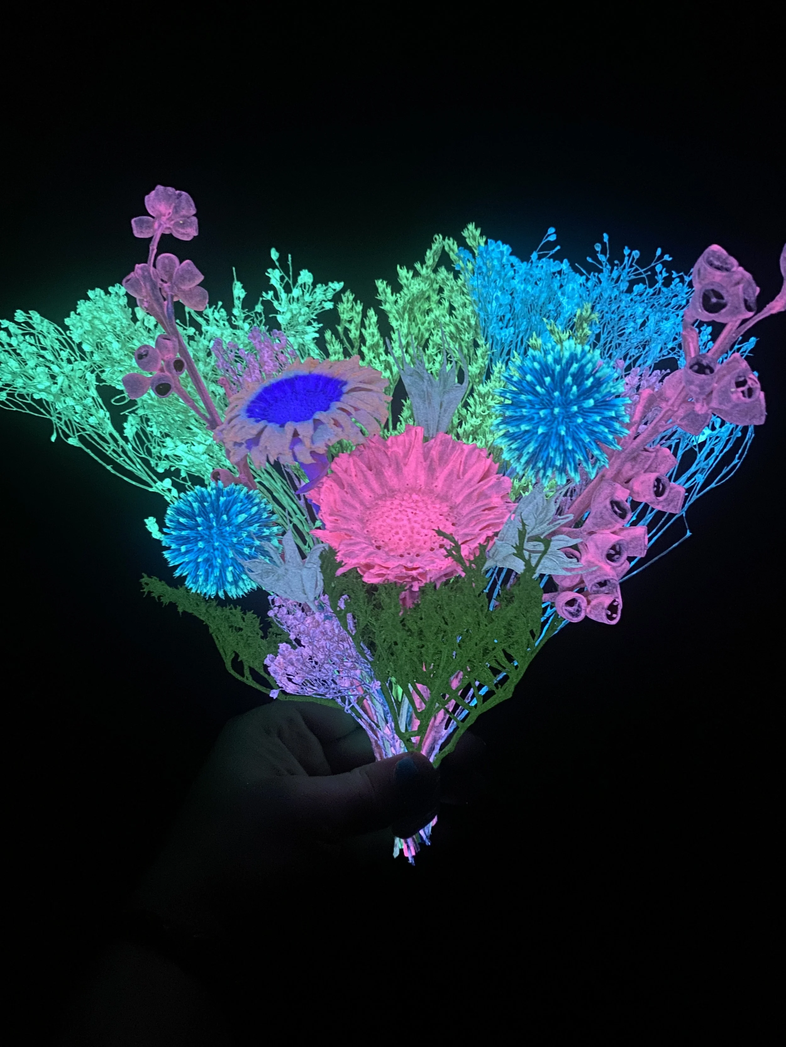 Photo Apr 17 2026, 3 56 05 PM.jpg