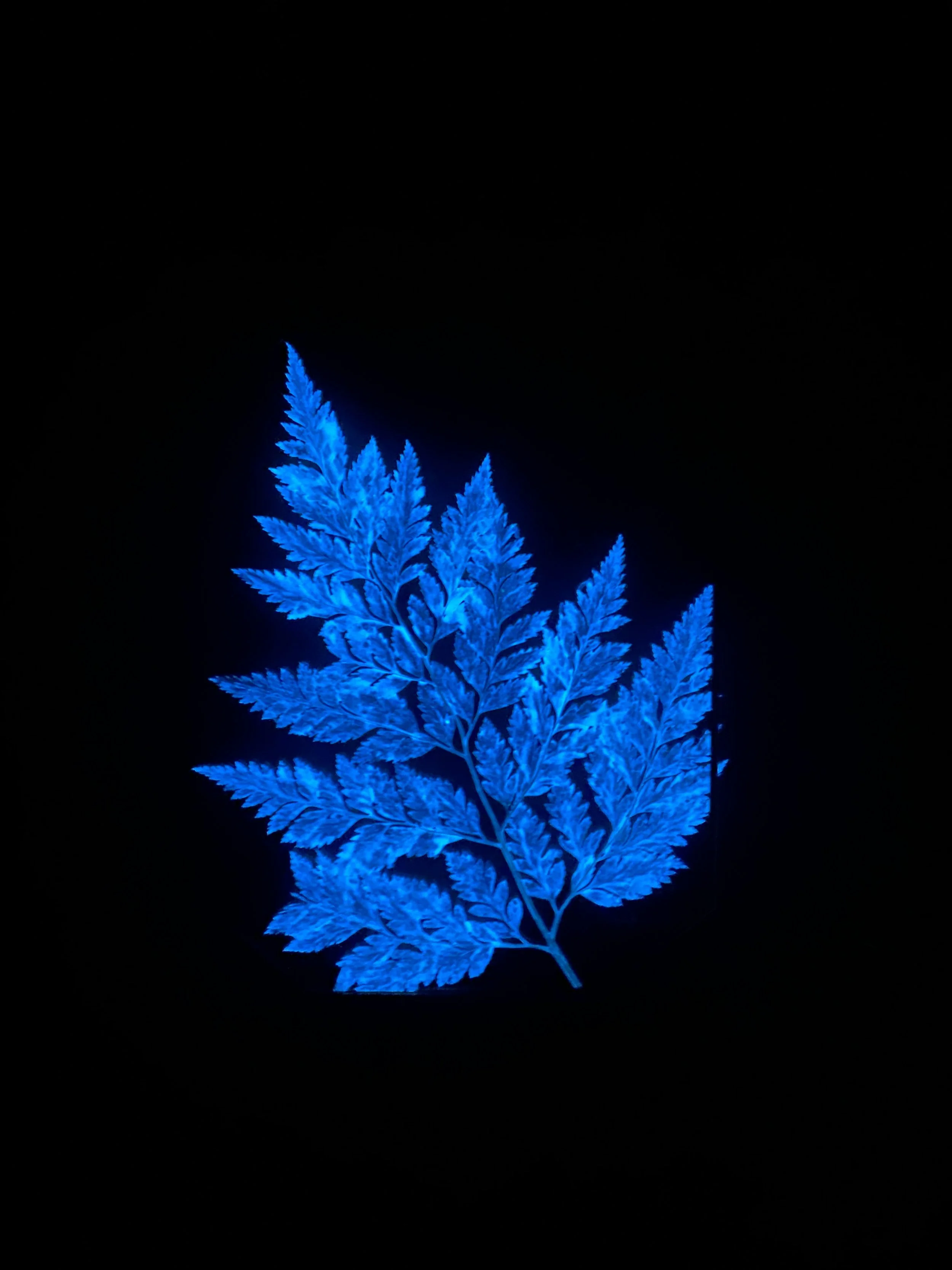 Photo Feb 26 2026, 11 43 10 AM.jpg