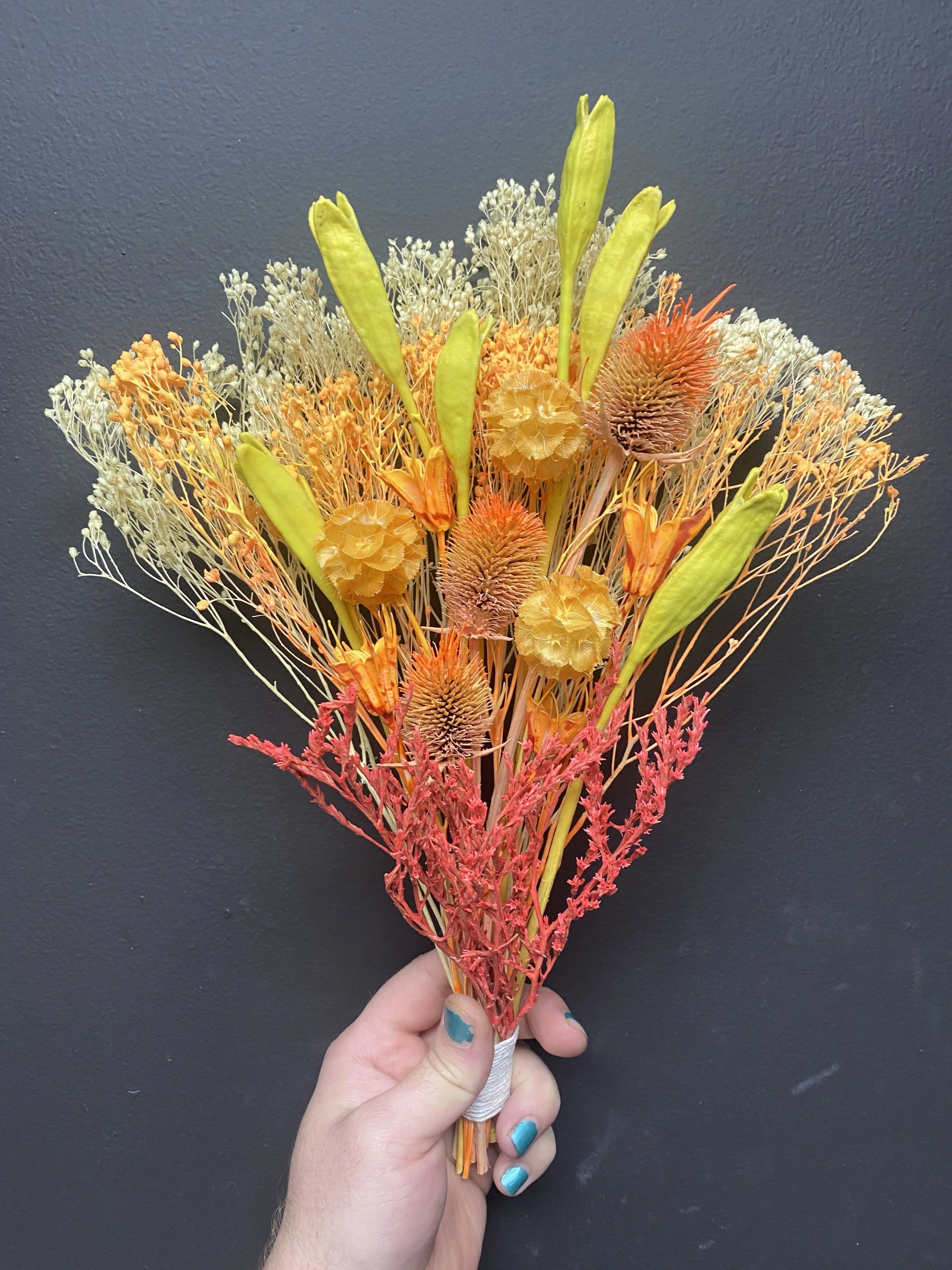 Photo Apr 17 2026, 3 52 52 PM.jpg