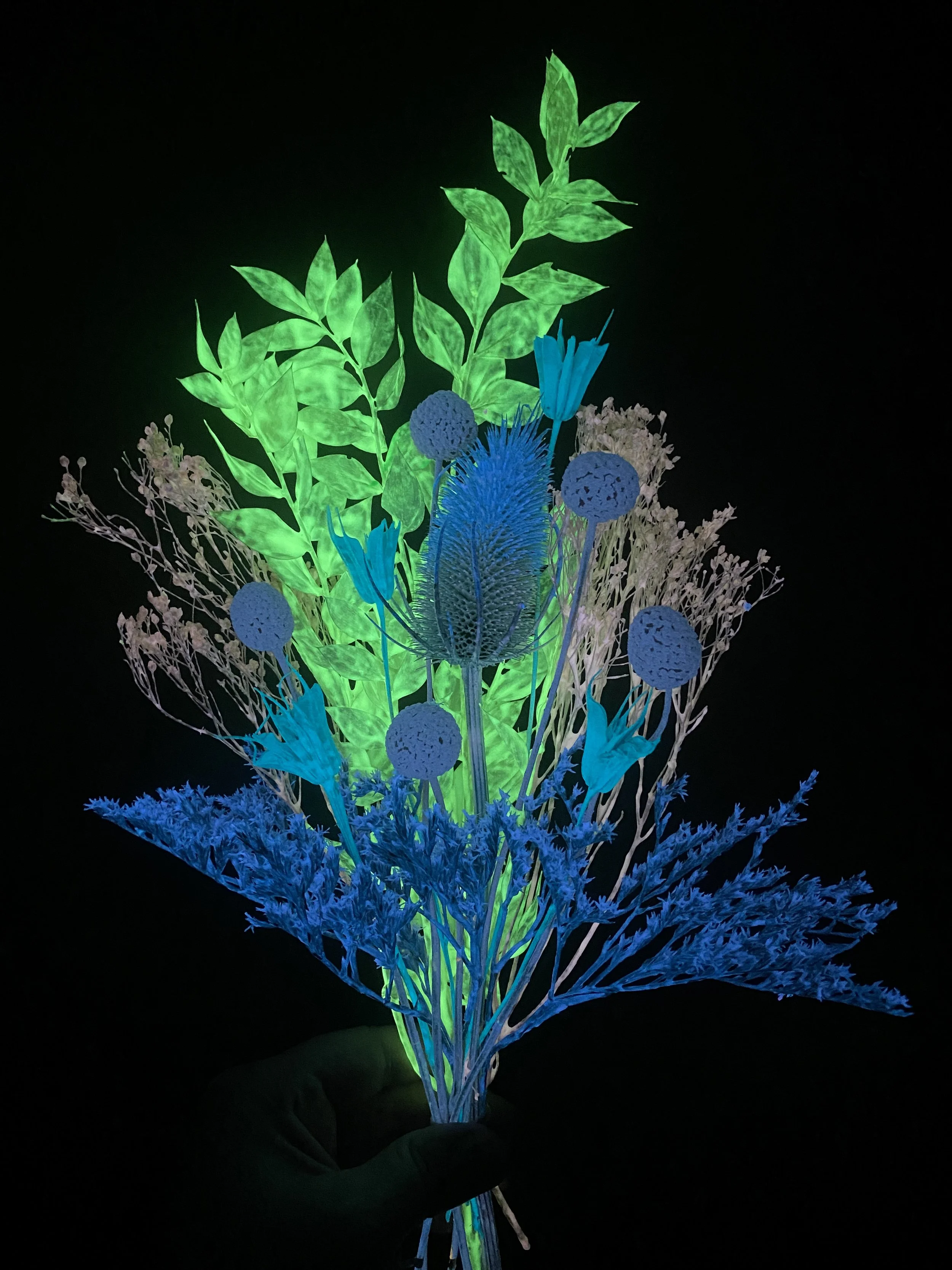 Photo Apr 28 2026, 12 30 23 PM.jpg