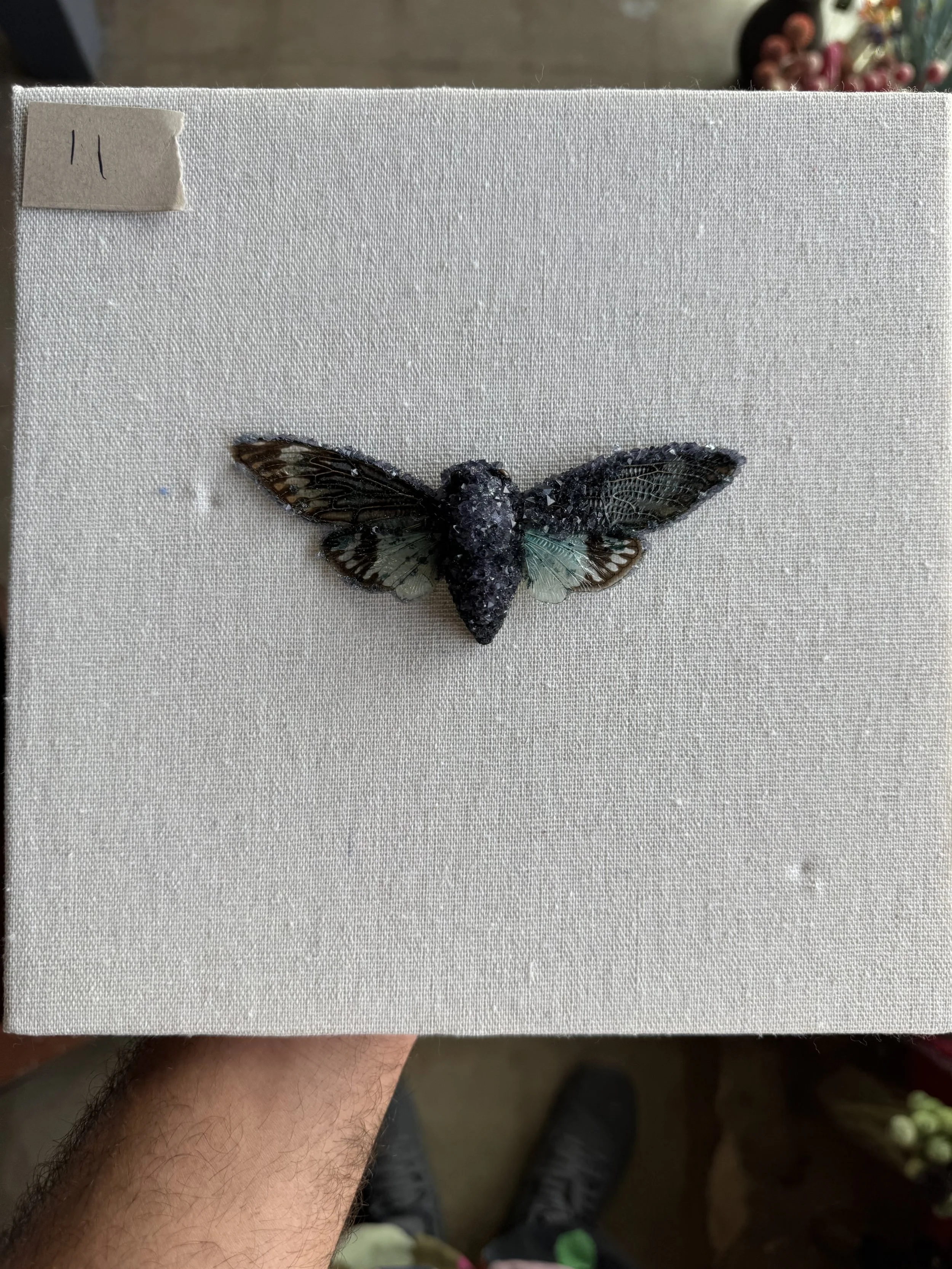 Photo Apr 29 2026, 10 00 38 AM.jpg