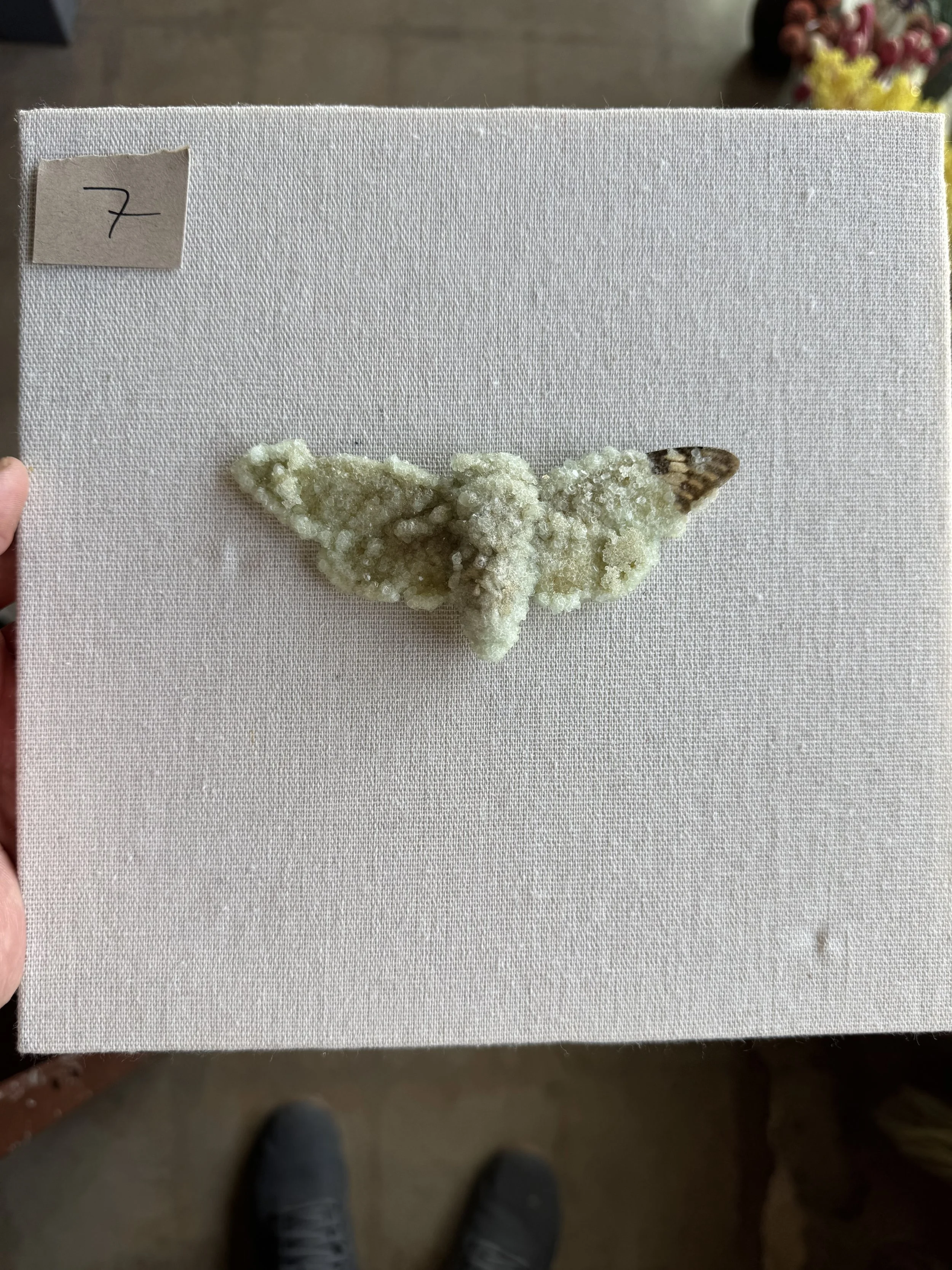 Photo Apr 29 2026, 9 54 54 AM.jpg