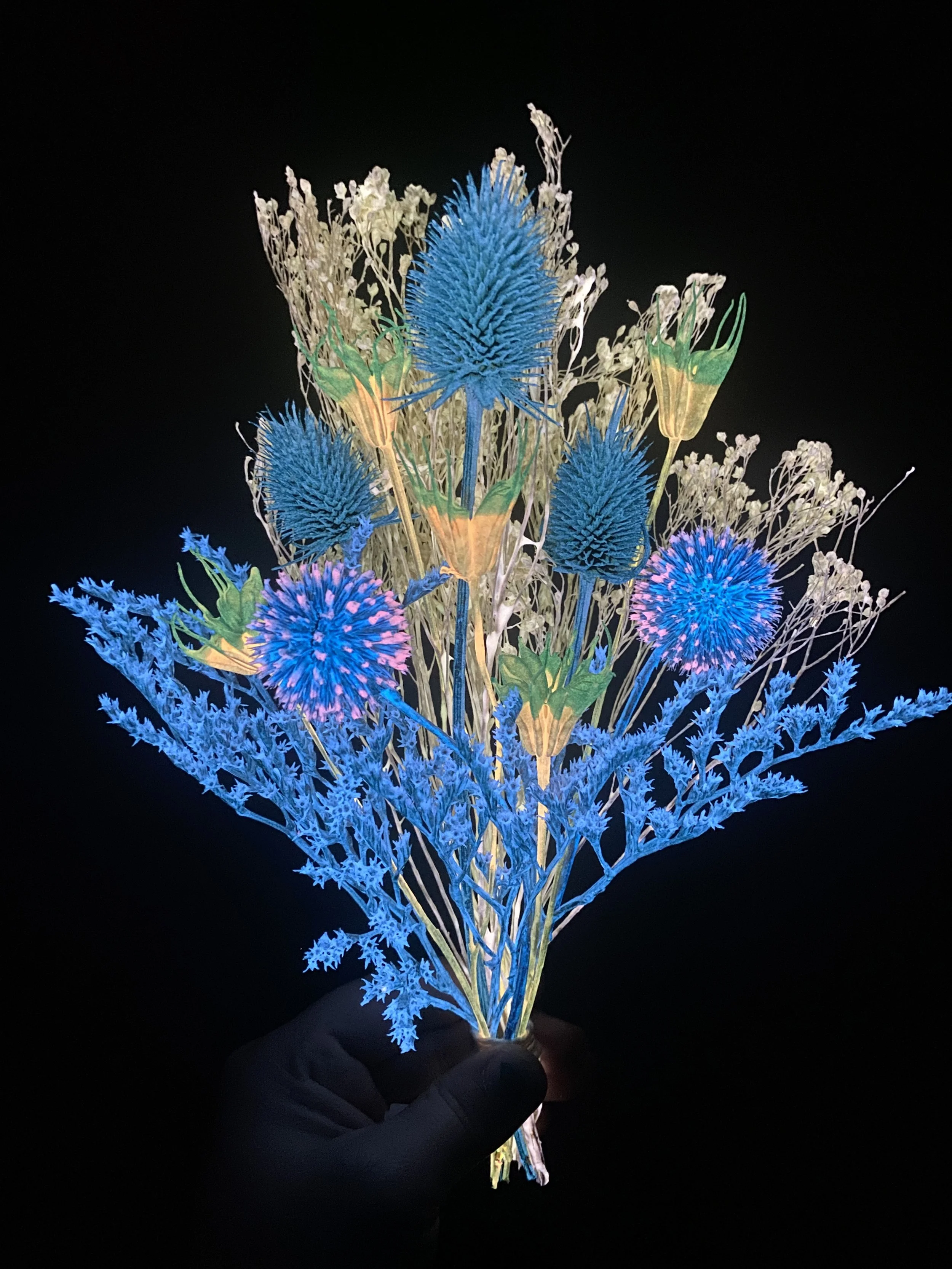 Photo Apr 28 2026, 12 29 30 PM.jpg