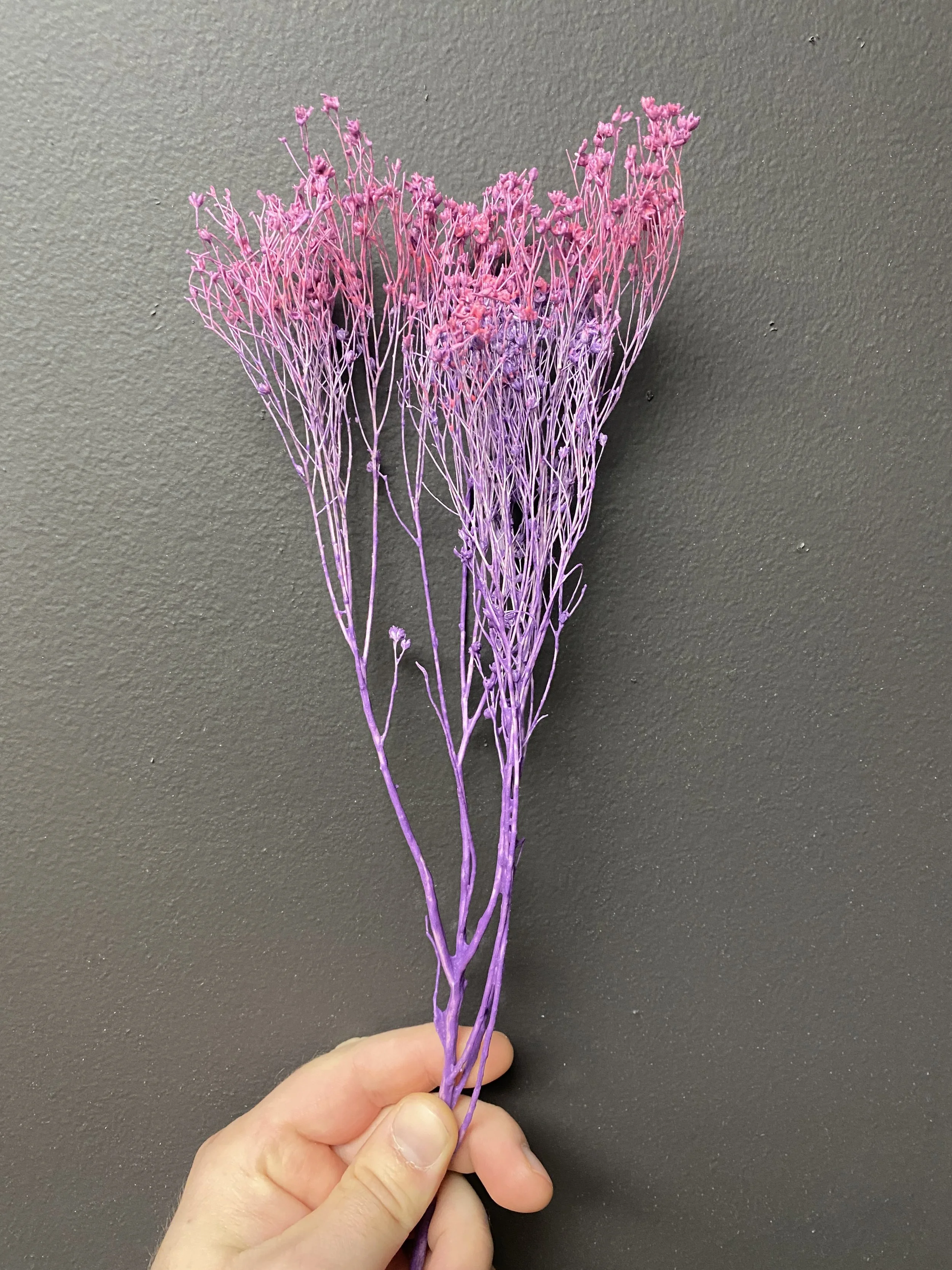 Photo Jan 21 2026, 10 47 15 AM.jpg