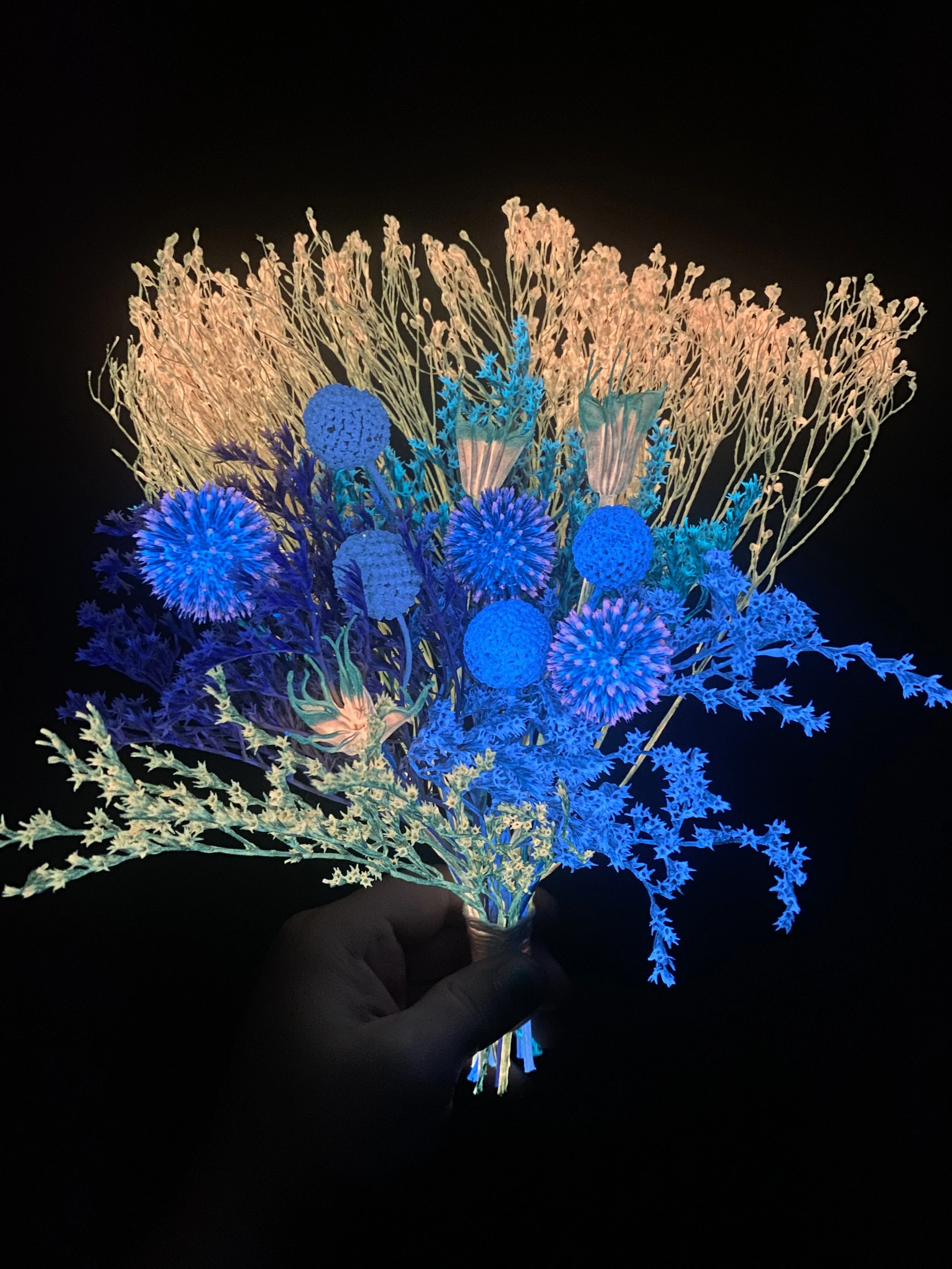 Photo Apr 28 2026, 11 10 14 AM.jpg