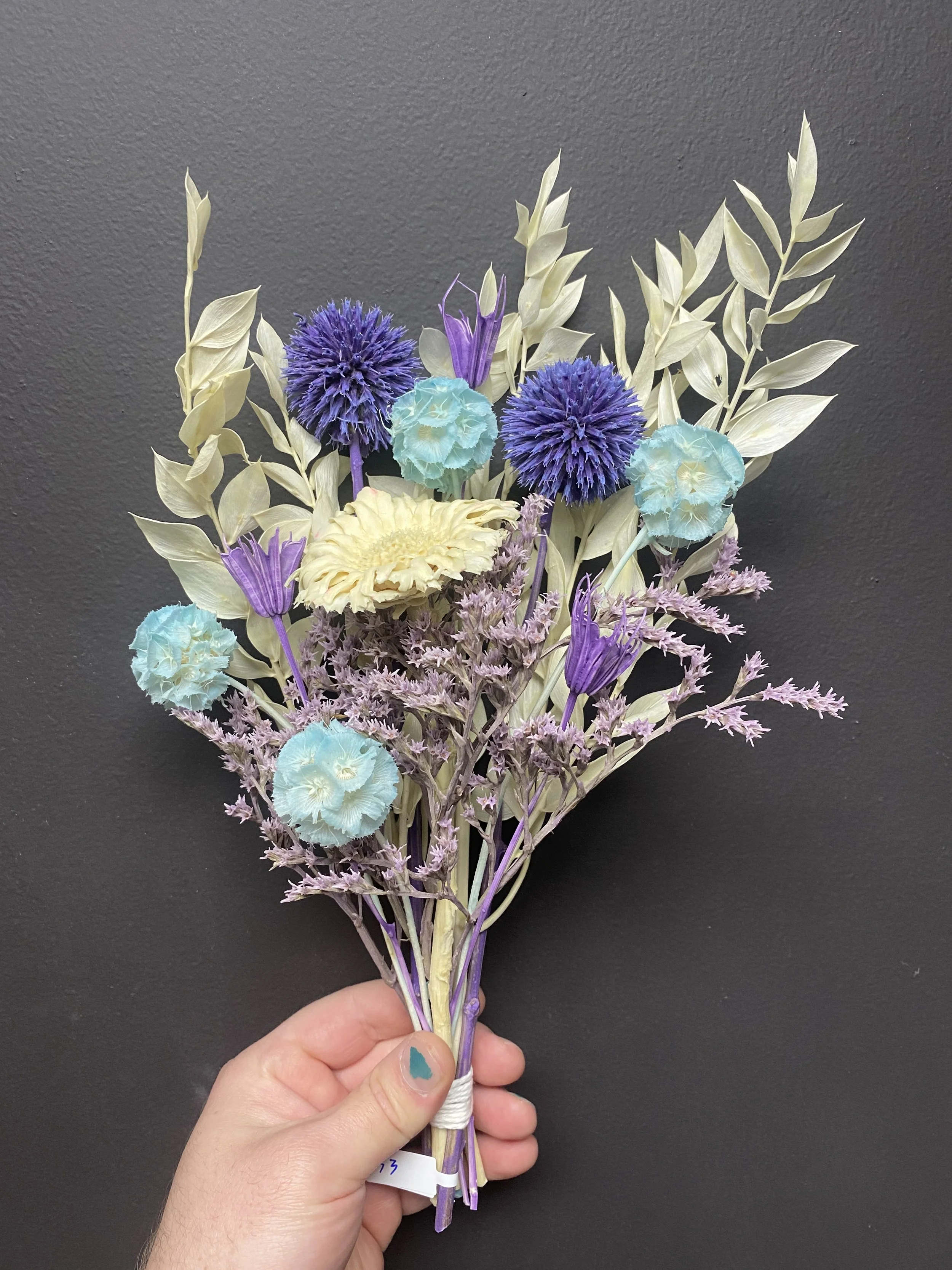 Photo Apr 28 2026, 12 27 51 PM.jpg