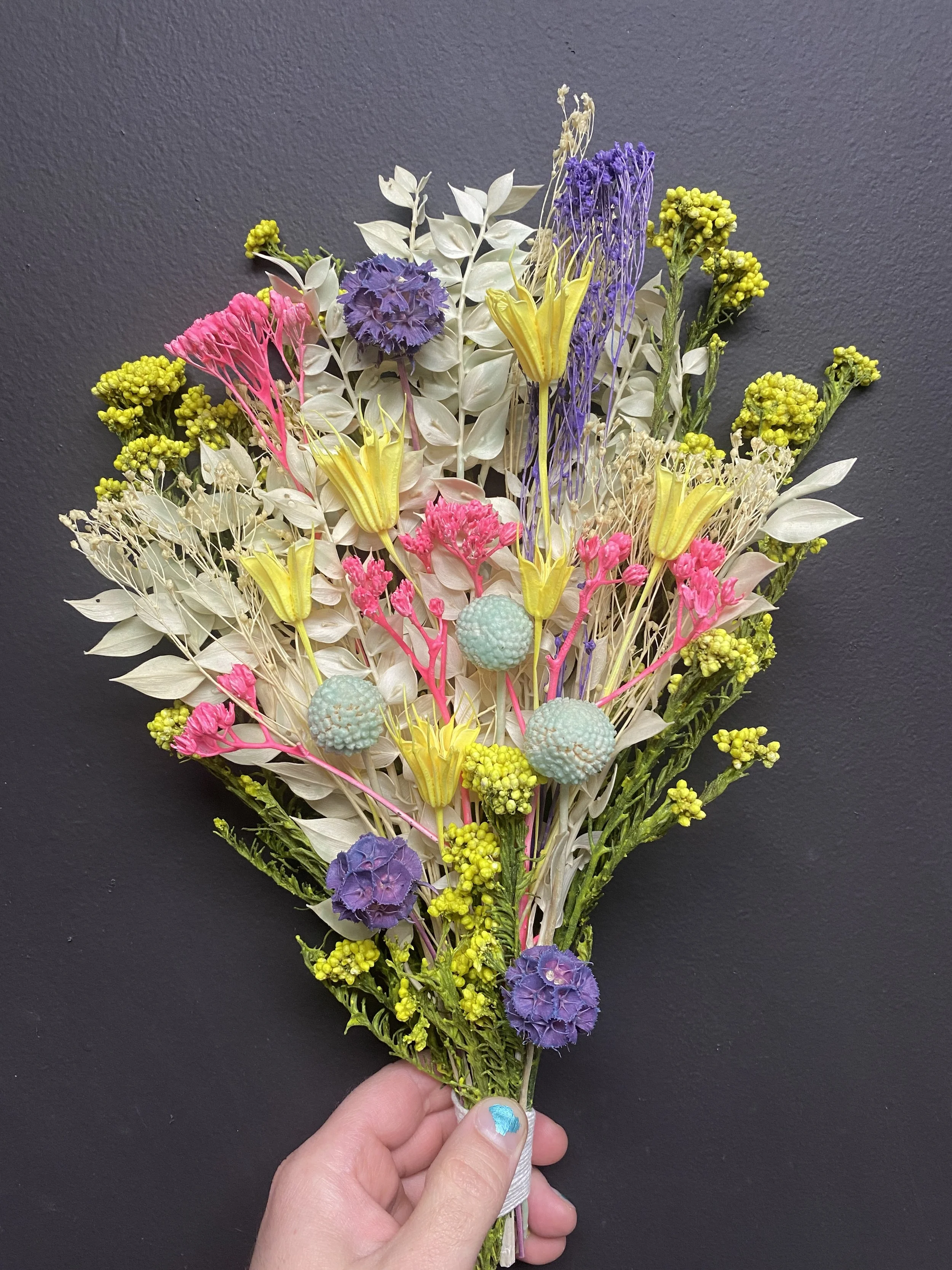 Photo Apr 28 2026, 1 29 29 PM.jpg