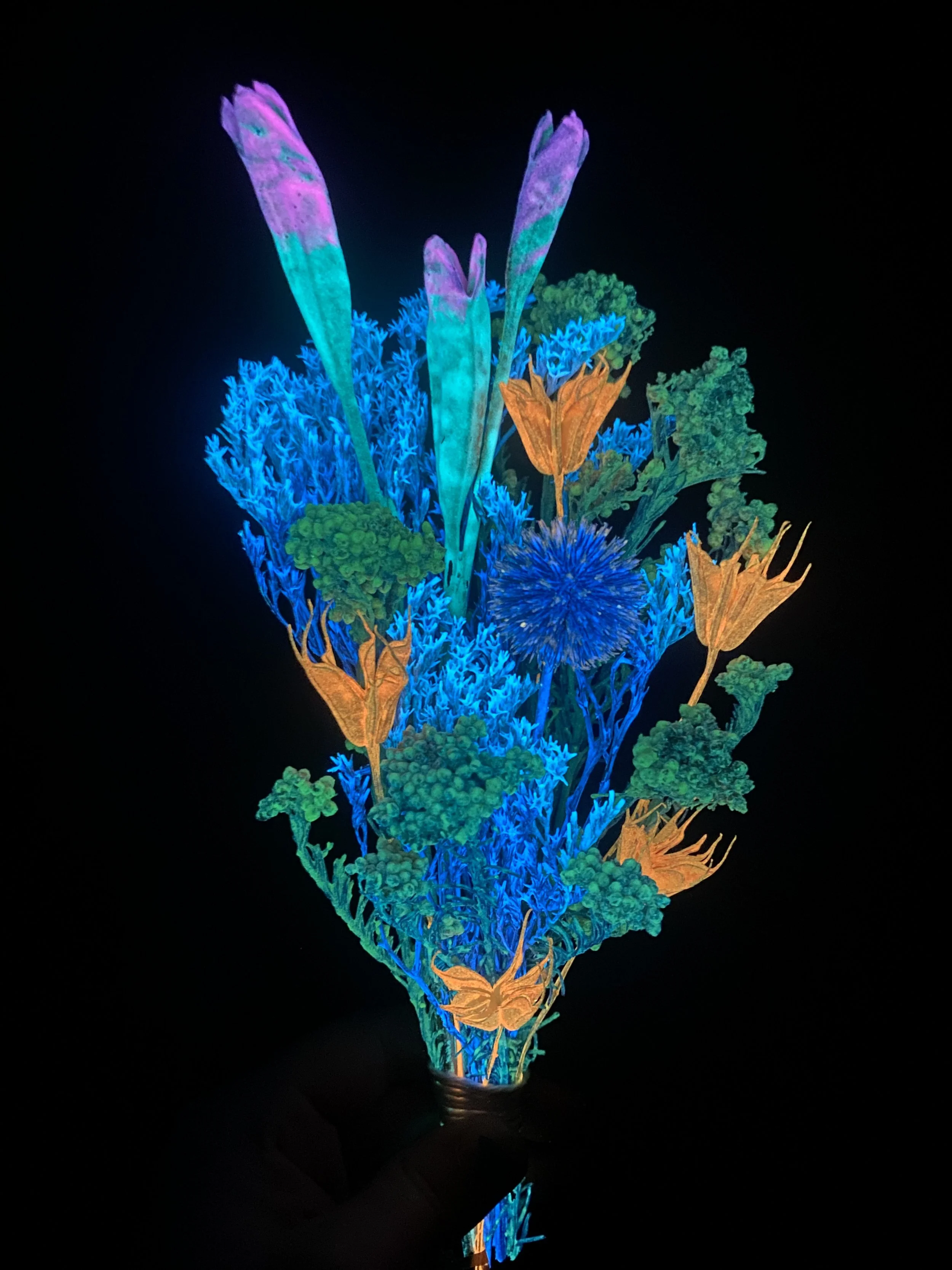 Photo Apr 28 2026, 10 49 25 AM.jpg