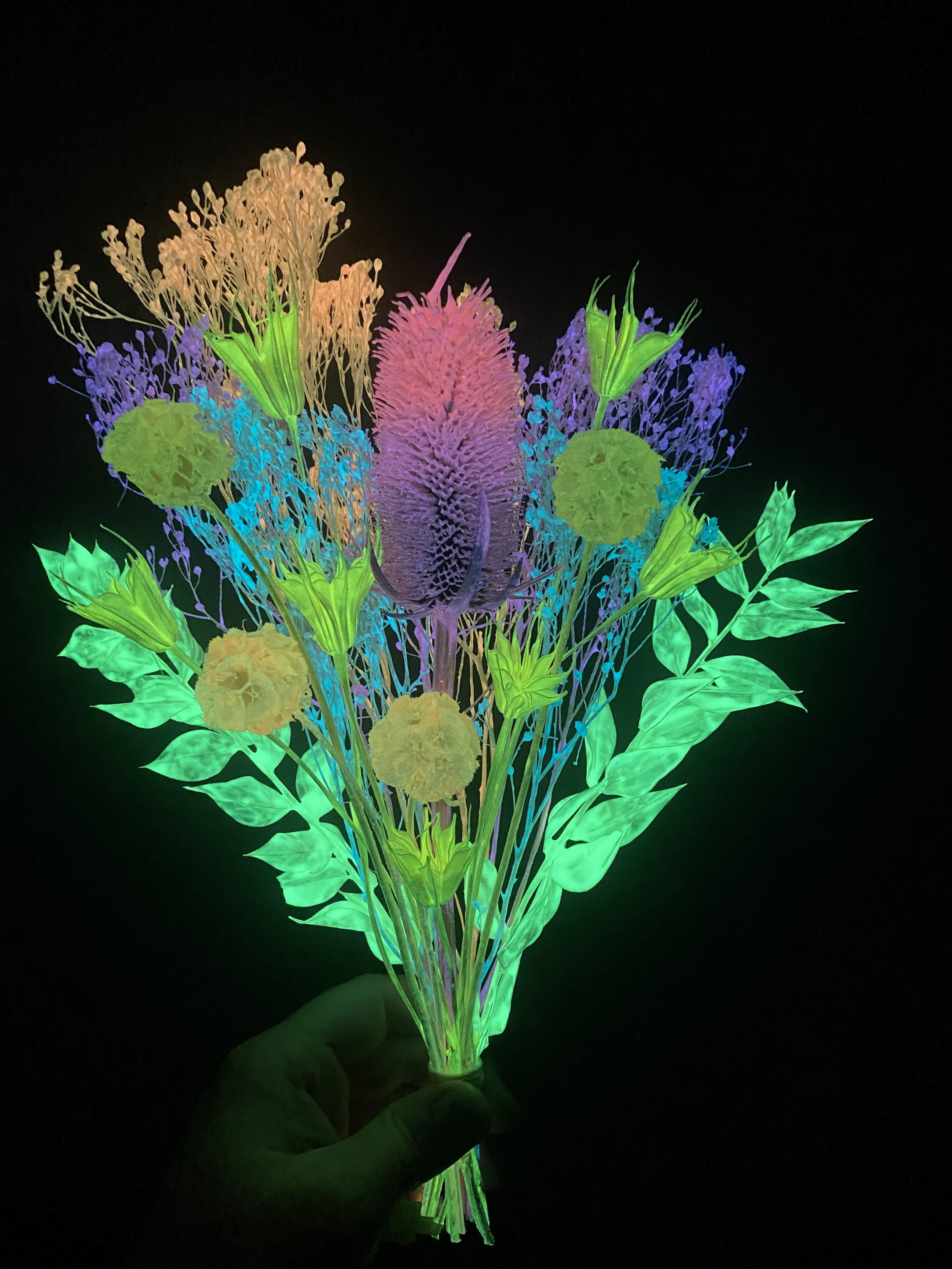 Photo Apr 28 2026, 12 20 34 PM (1).jpg