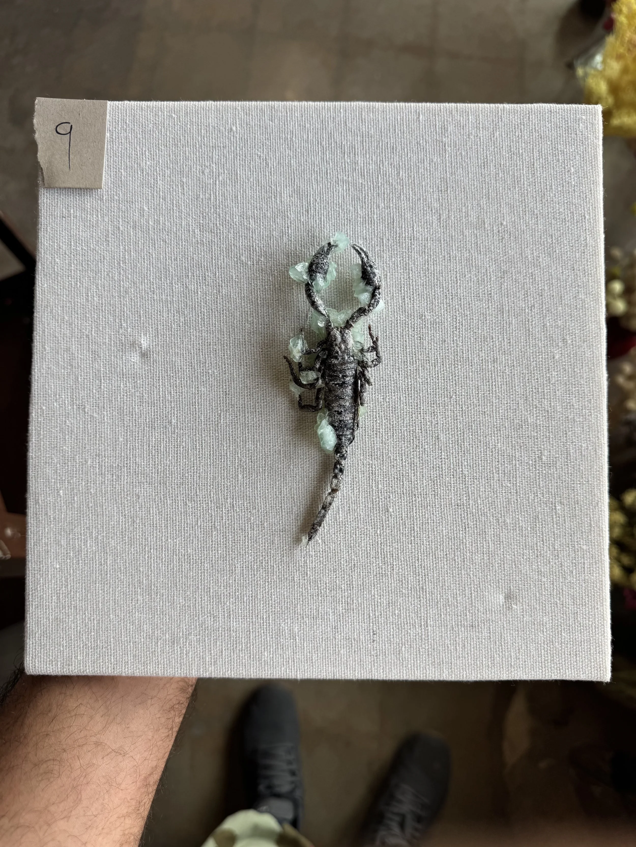 Photo Apr 29 2026, 9 55 18 AM.jpg