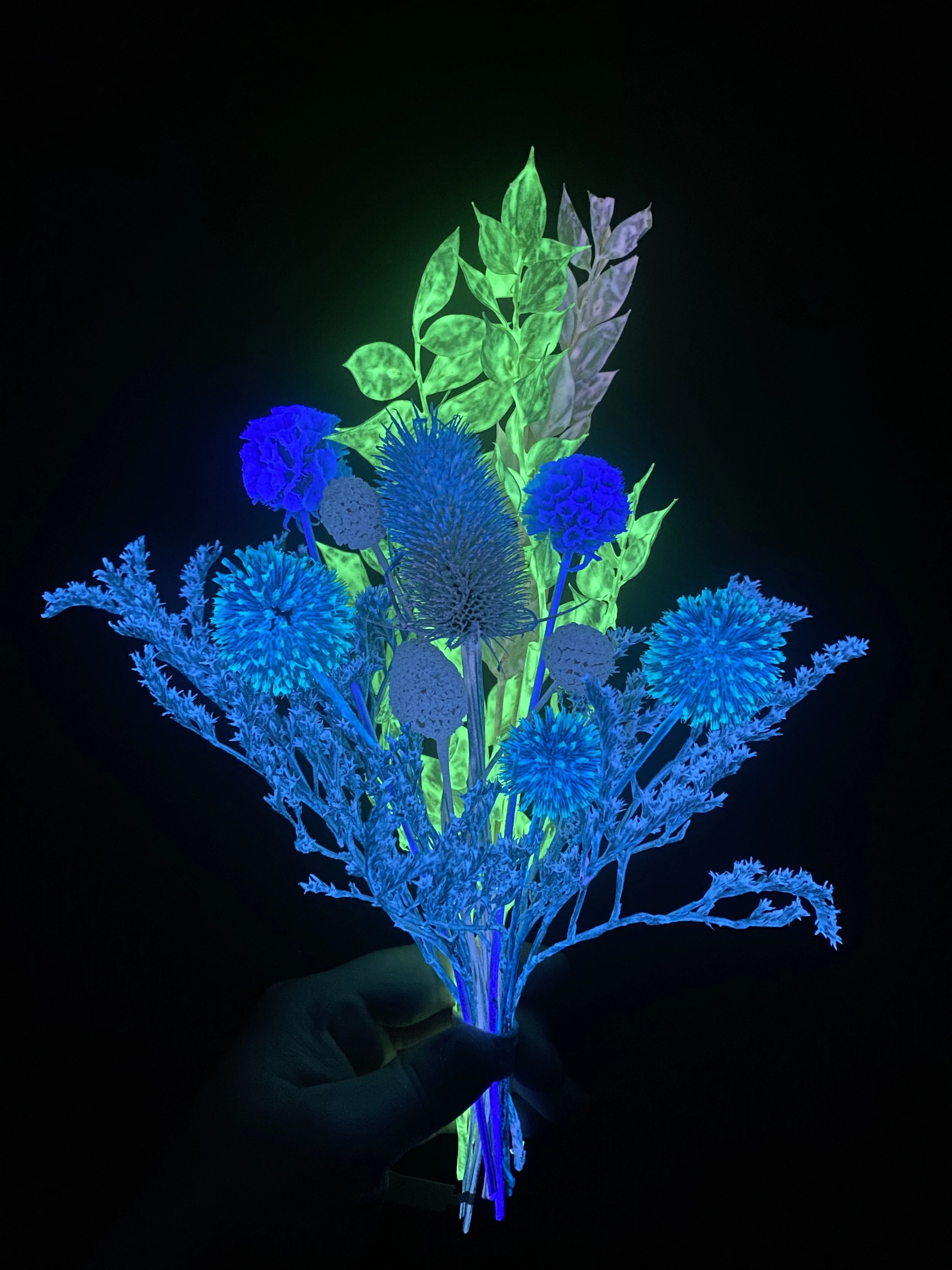 Photo Apr 28 2026, 12 04 00 PM.jpg