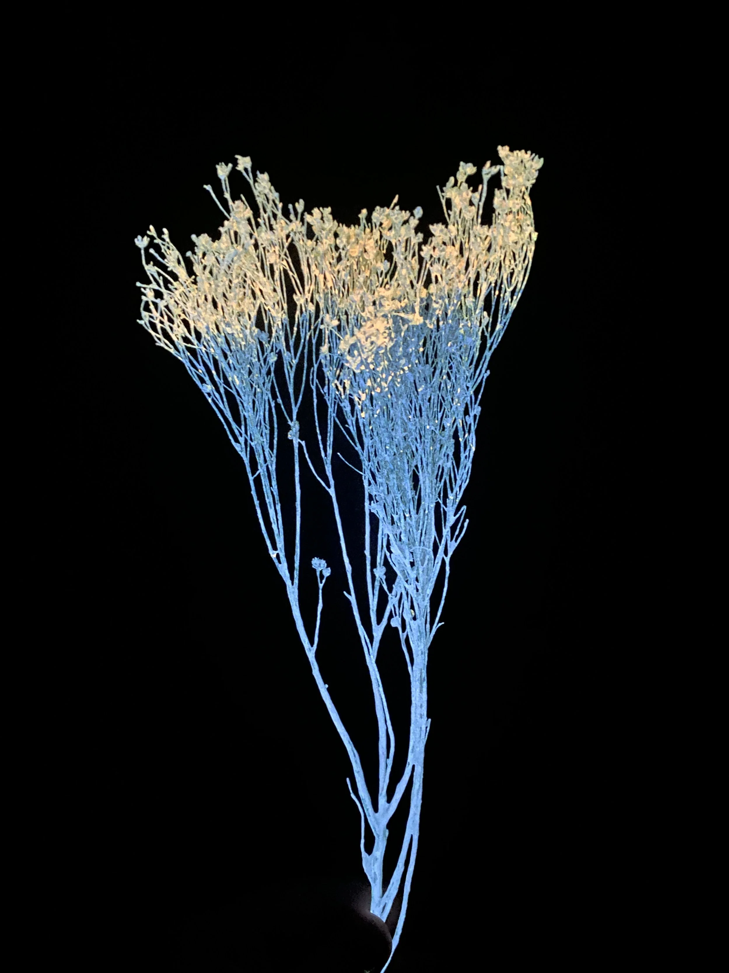 Moonbeam Flora purple/pink babies breath