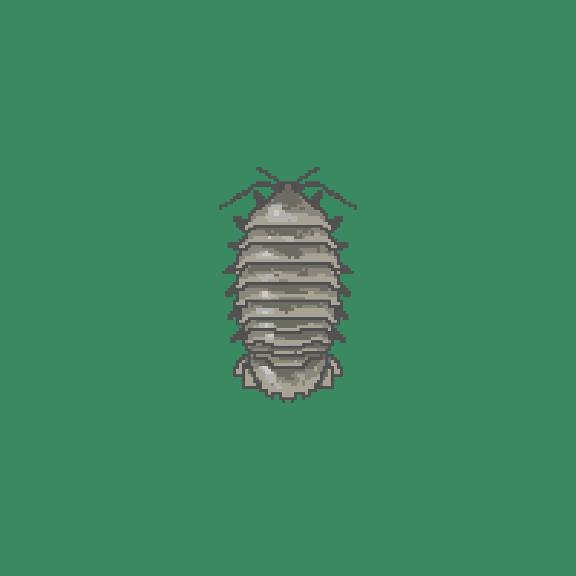 A Boring Isopod