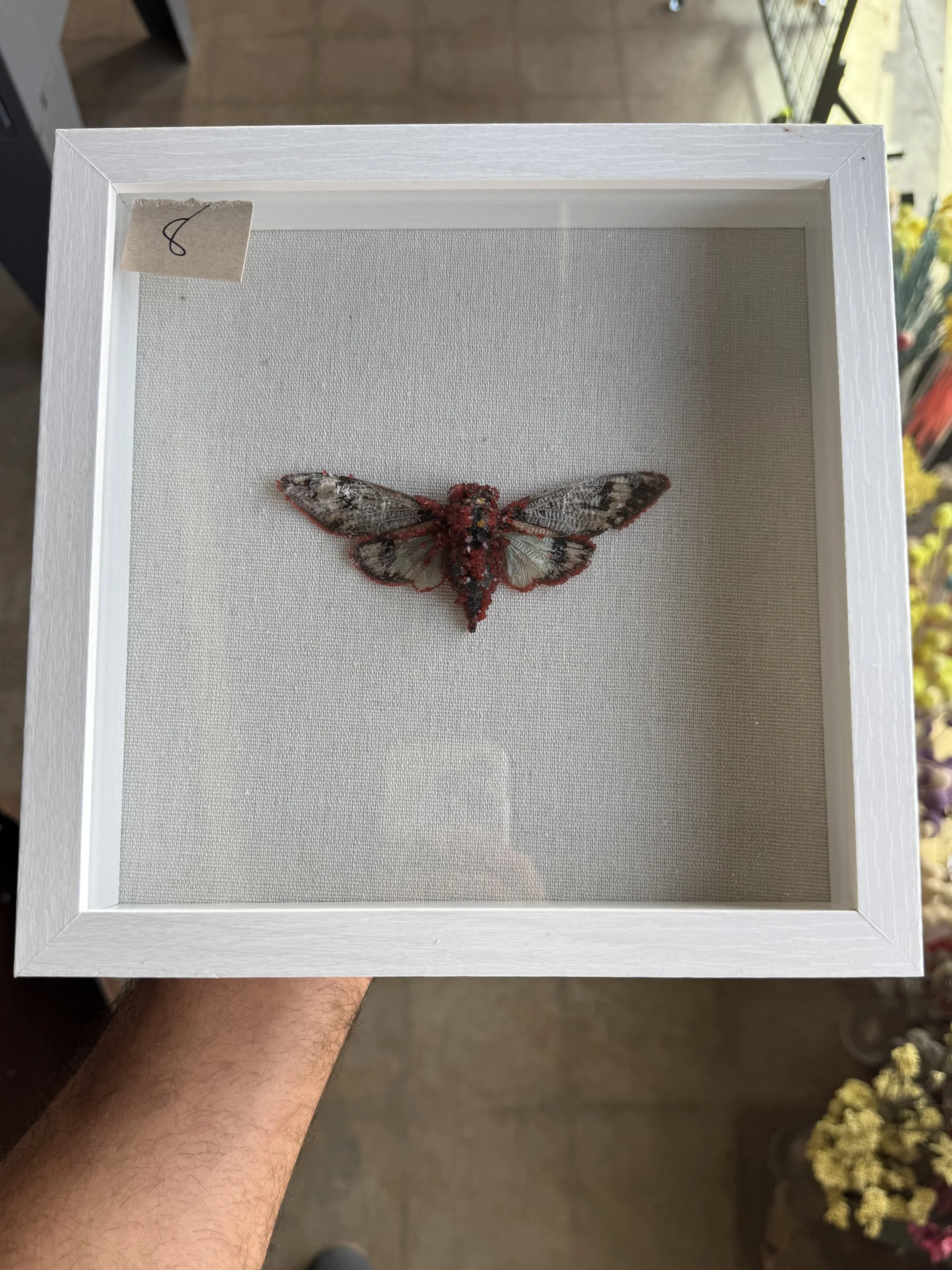 Photo Apr 29 2026, 10 08 59 AM.jpg