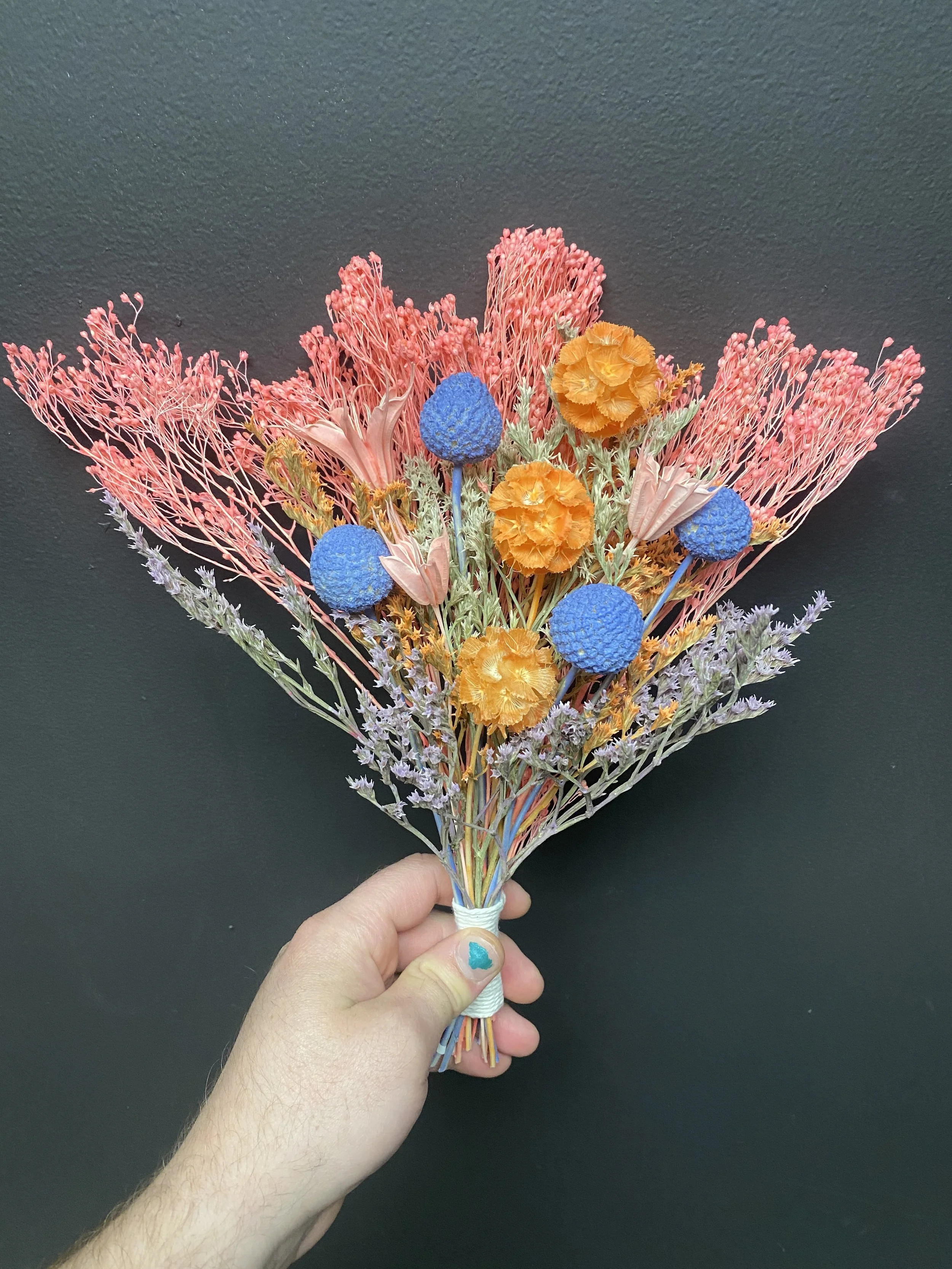 Photo Apr 28 2026, 1 23 25 PM.jpg