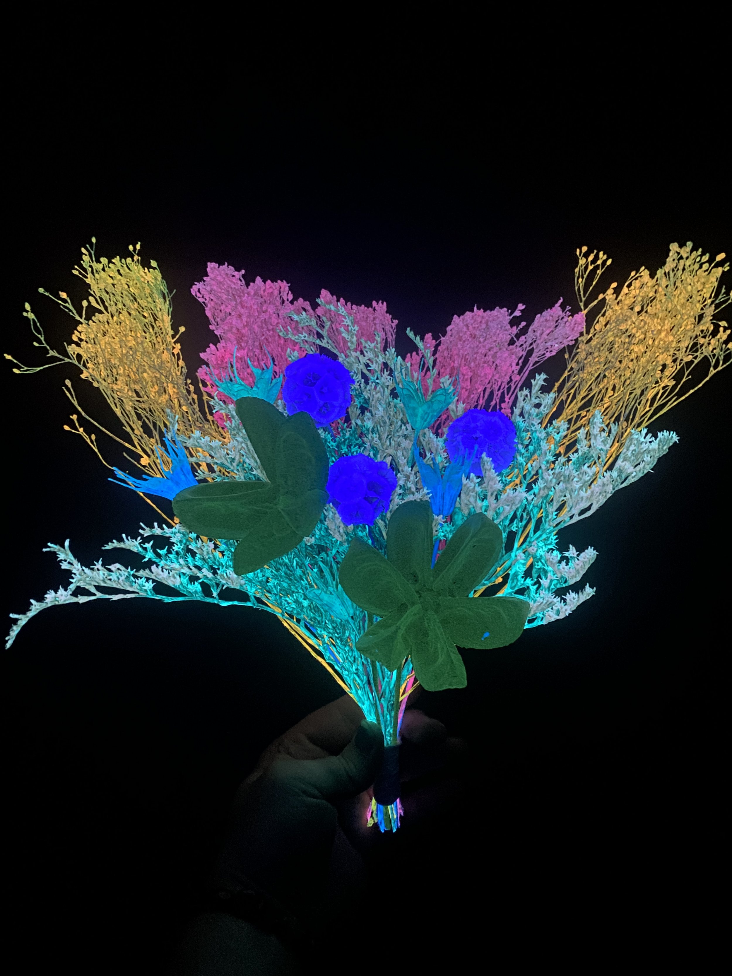 Photo Apr 17 2026, 3 49 49 PM.jpg