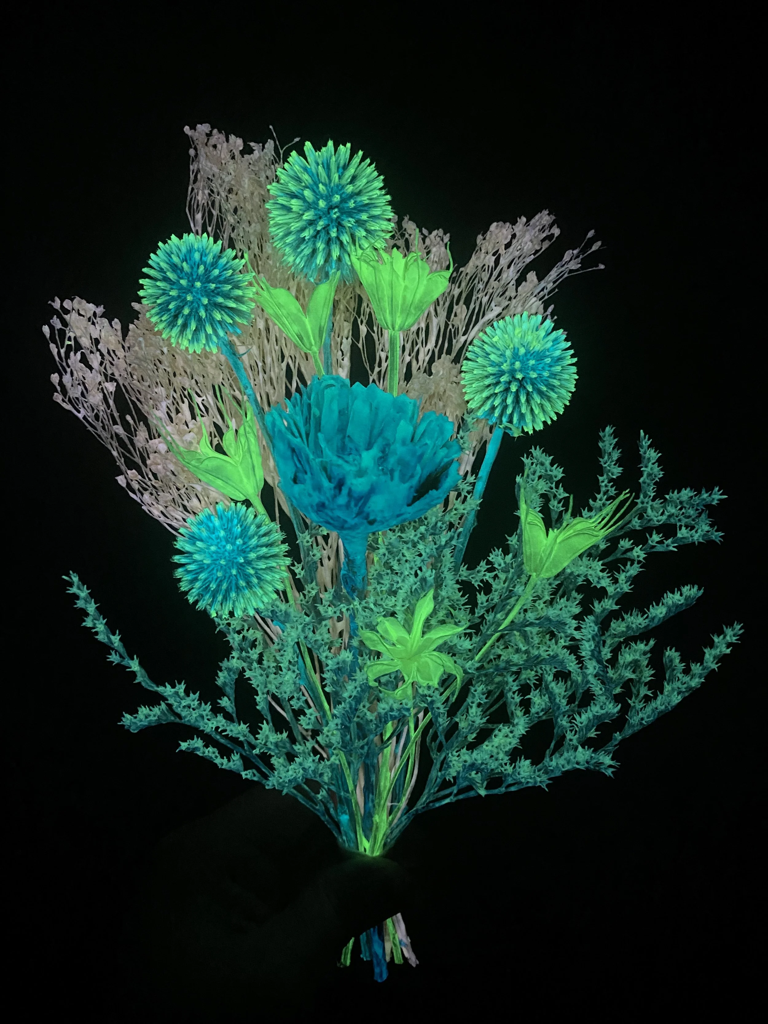 Photo Apr 28 2026, 12 15 50 PM.jpg