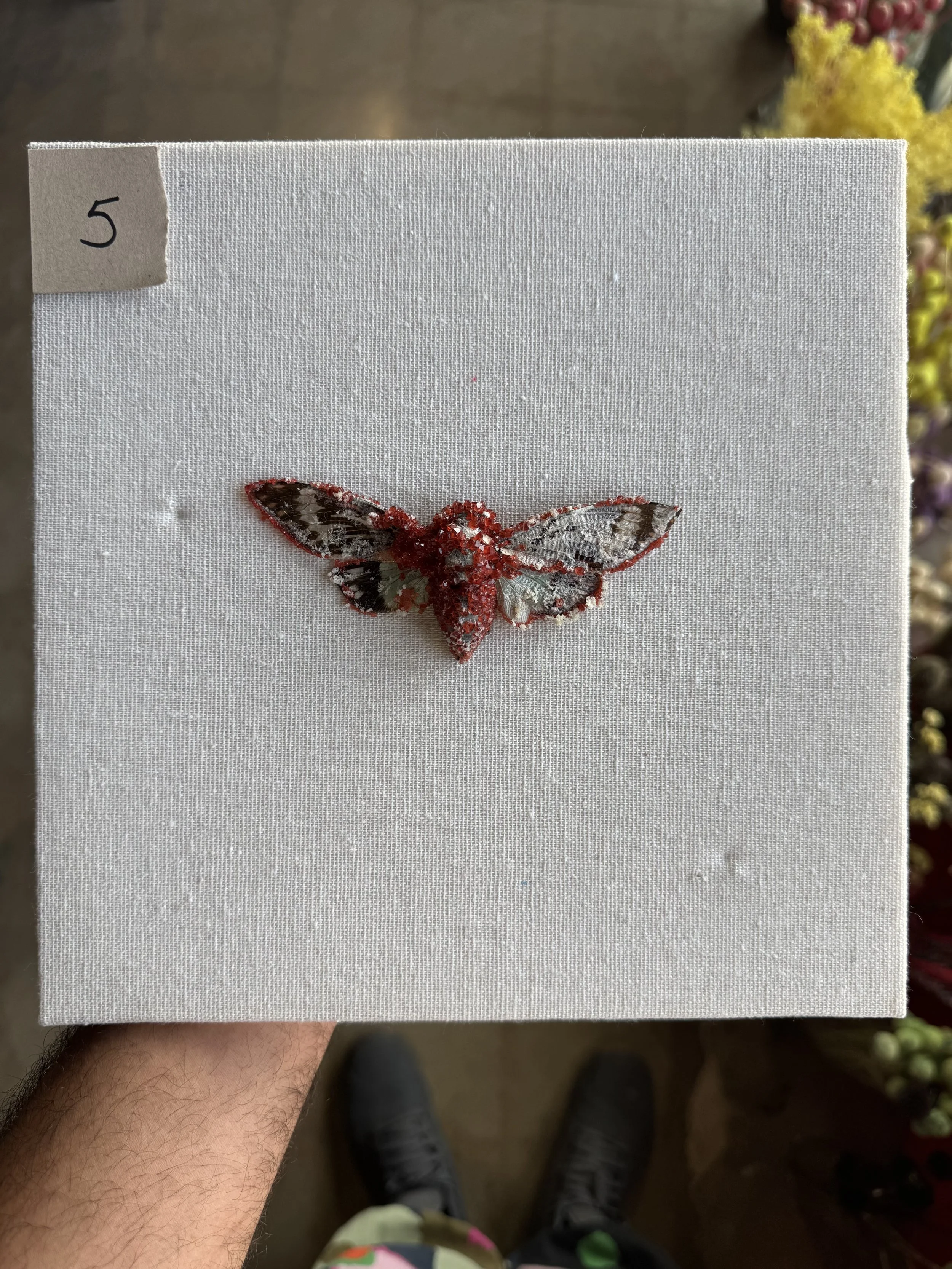 Photo Apr 29 2026, 9 47 28 AM.jpg