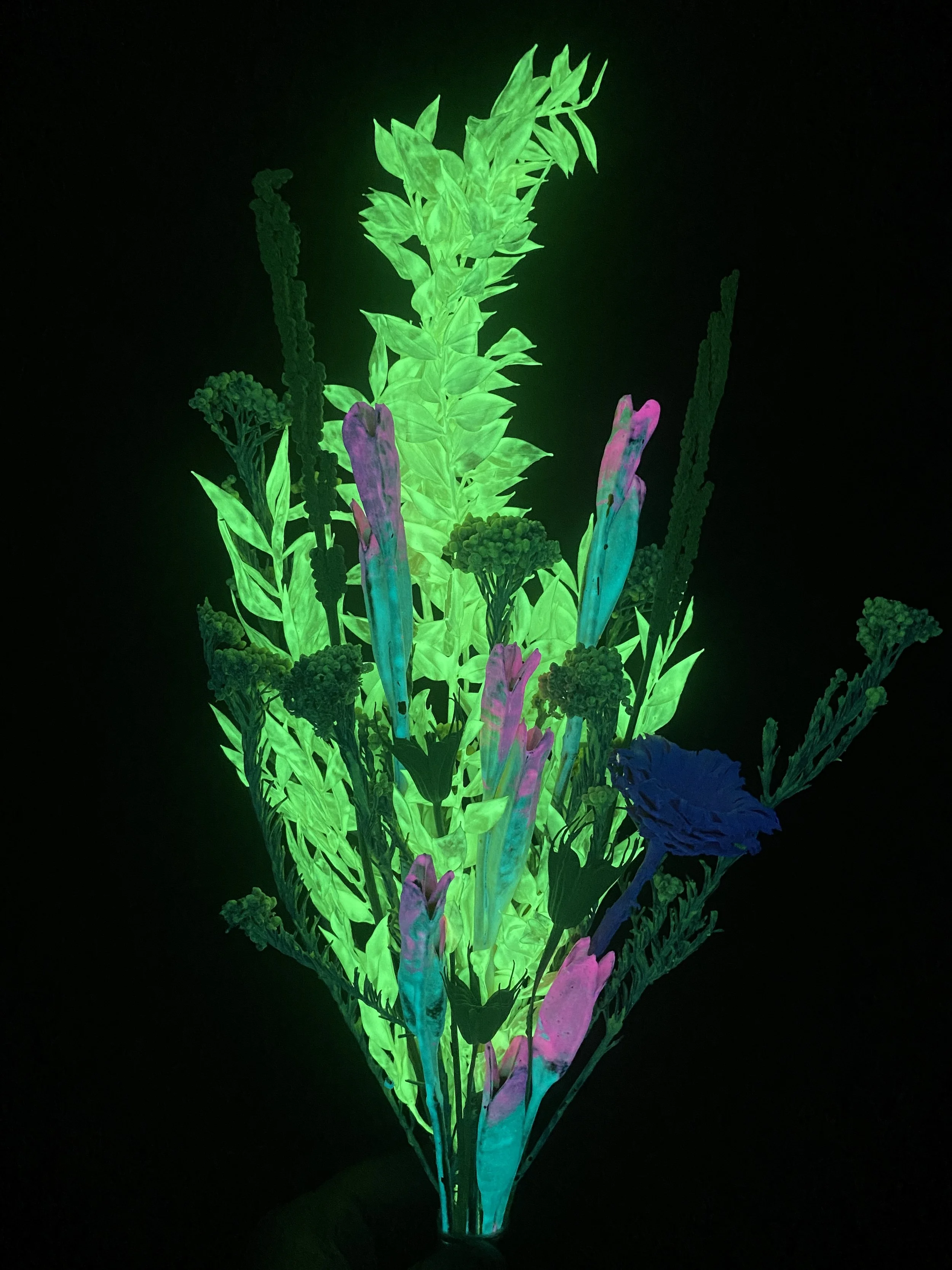 Photo Apr 28 2026, 1 27 47 PM.jpg