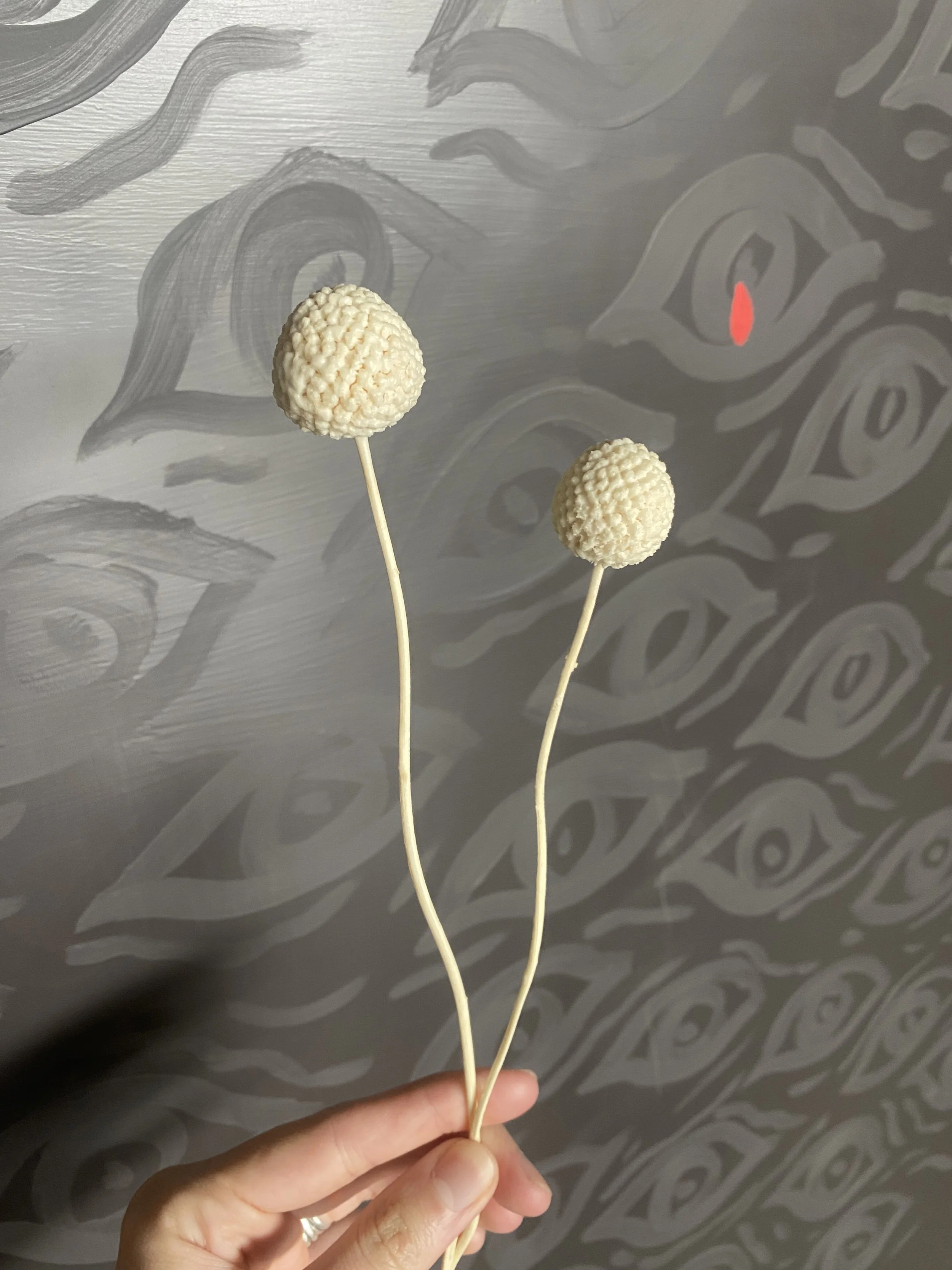 Photo Apr 14 2026, 10 27 45 AM.jpg