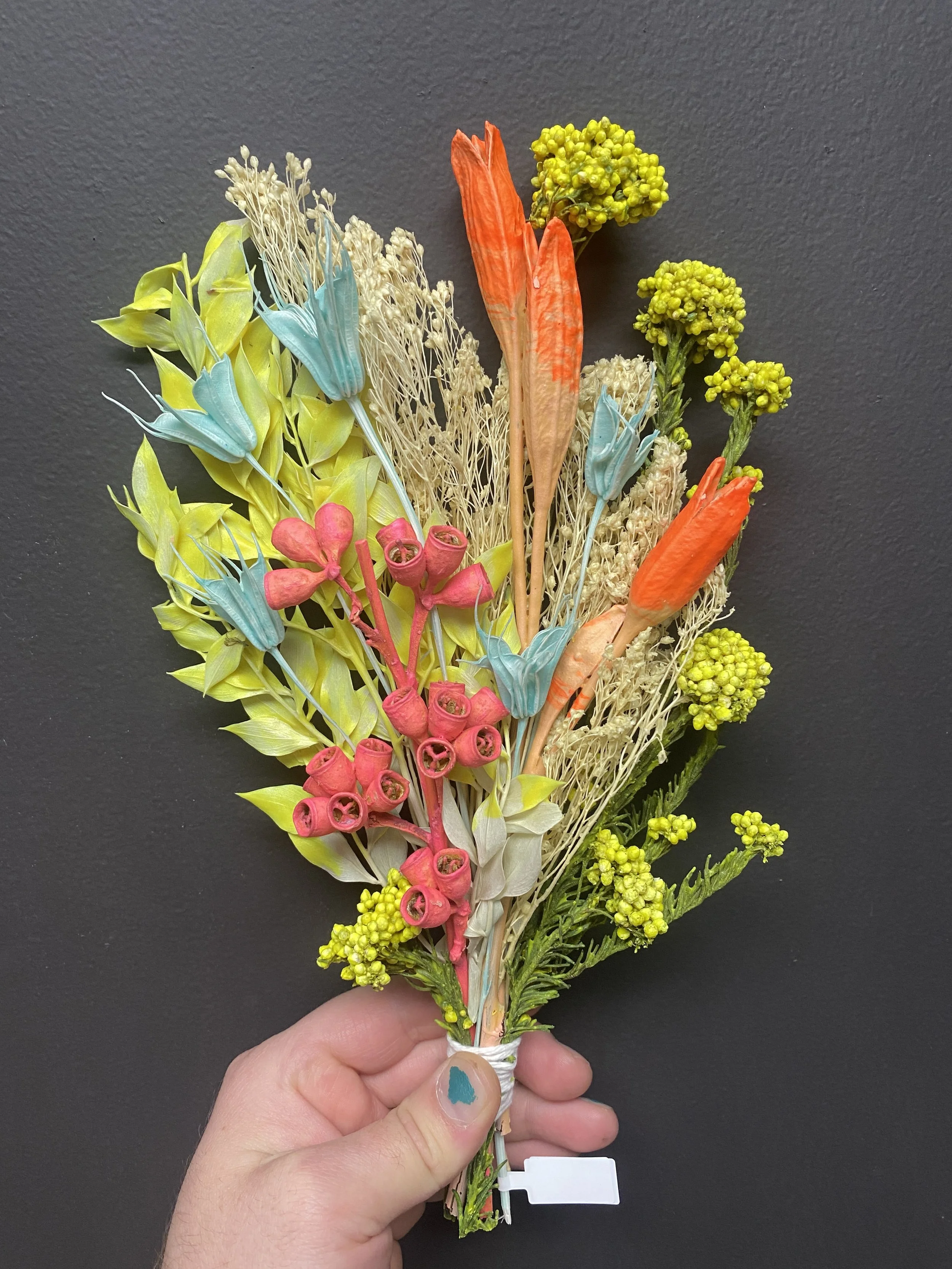 Photo Apr 28 2026, 10 50 54 AM.jpg