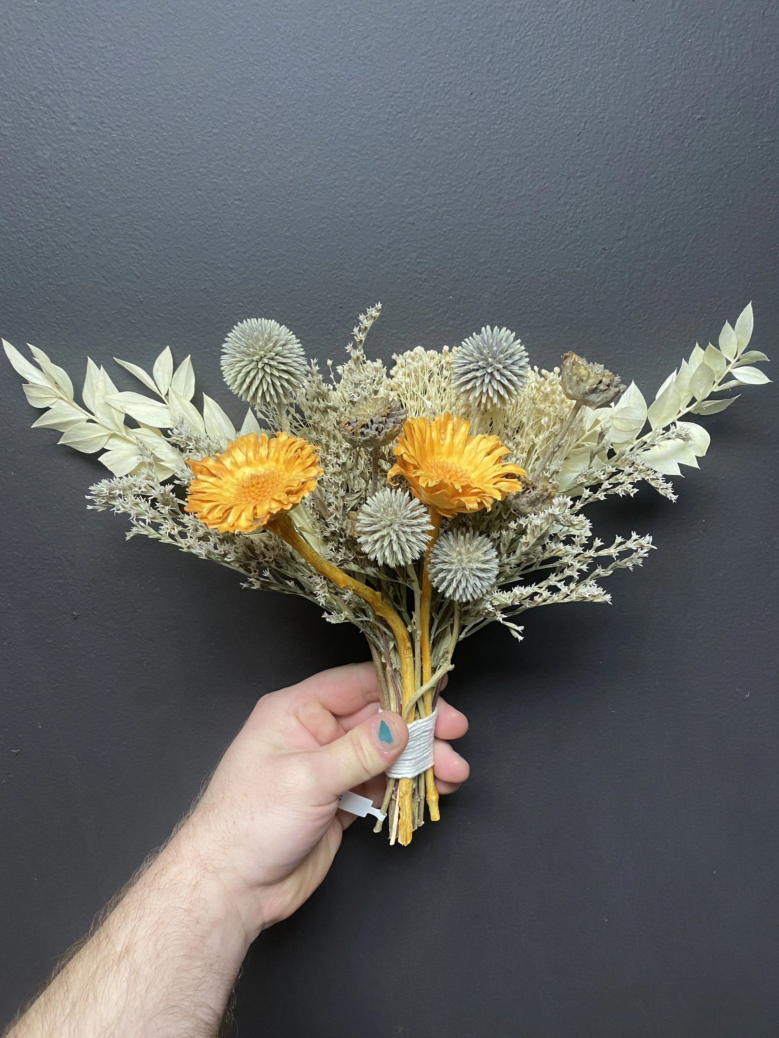 Photo Apr 28 2026, 11 35 14 AM.jpg