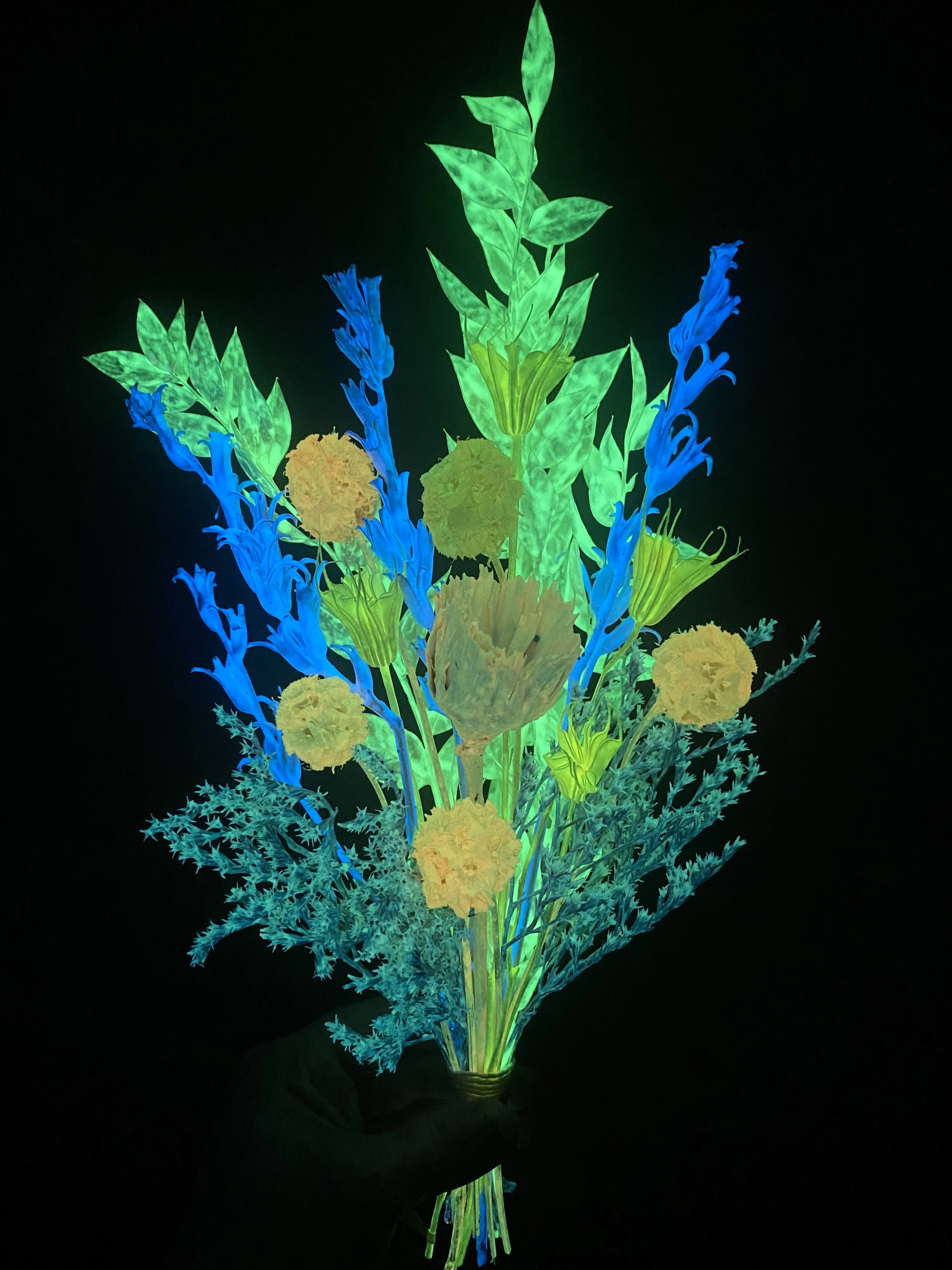 Photo Apr 28 2026, 12 24 54 PM.jpg