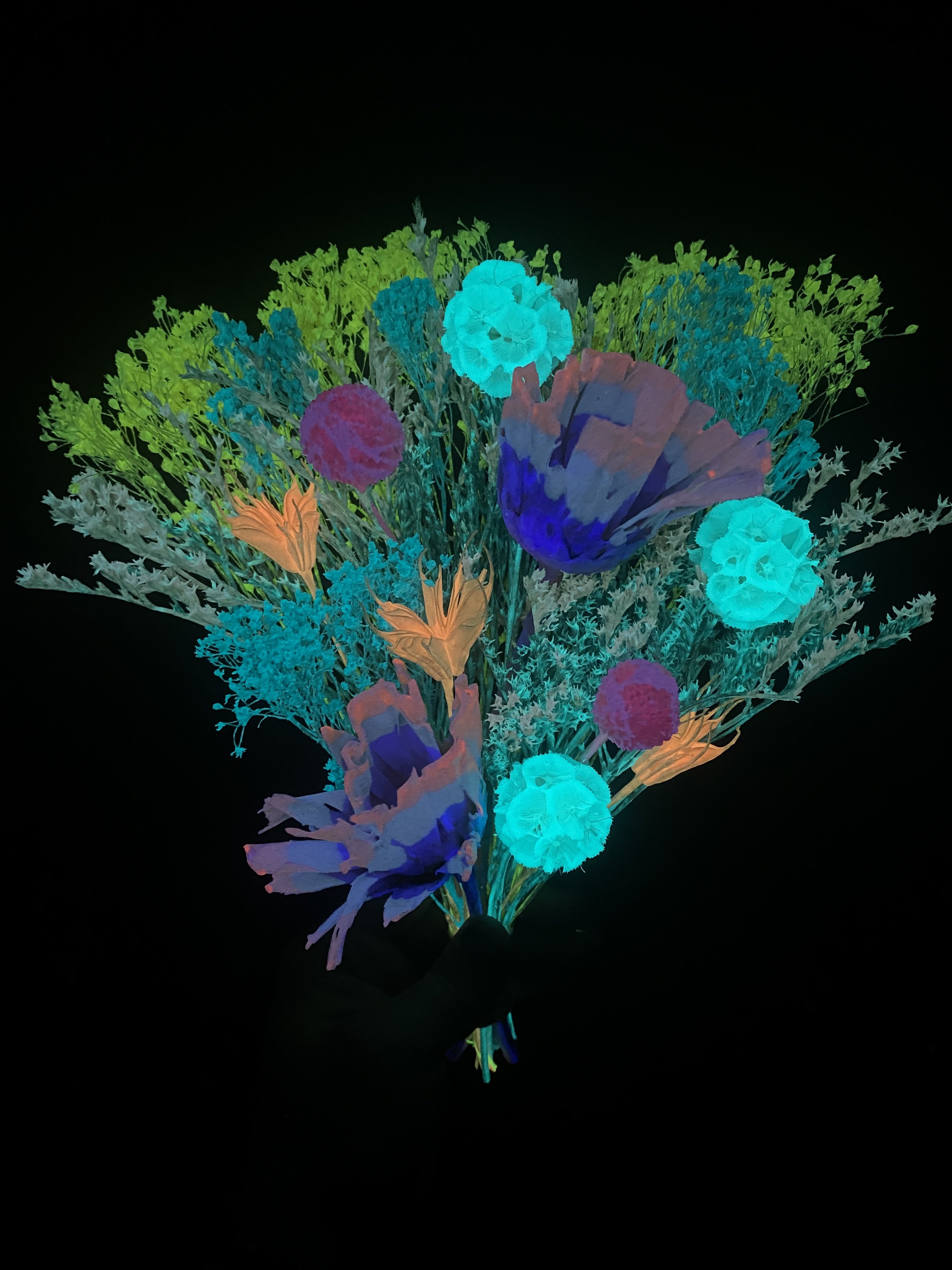 Photo Apr 17 2026, 4 04 01 PM.jpg