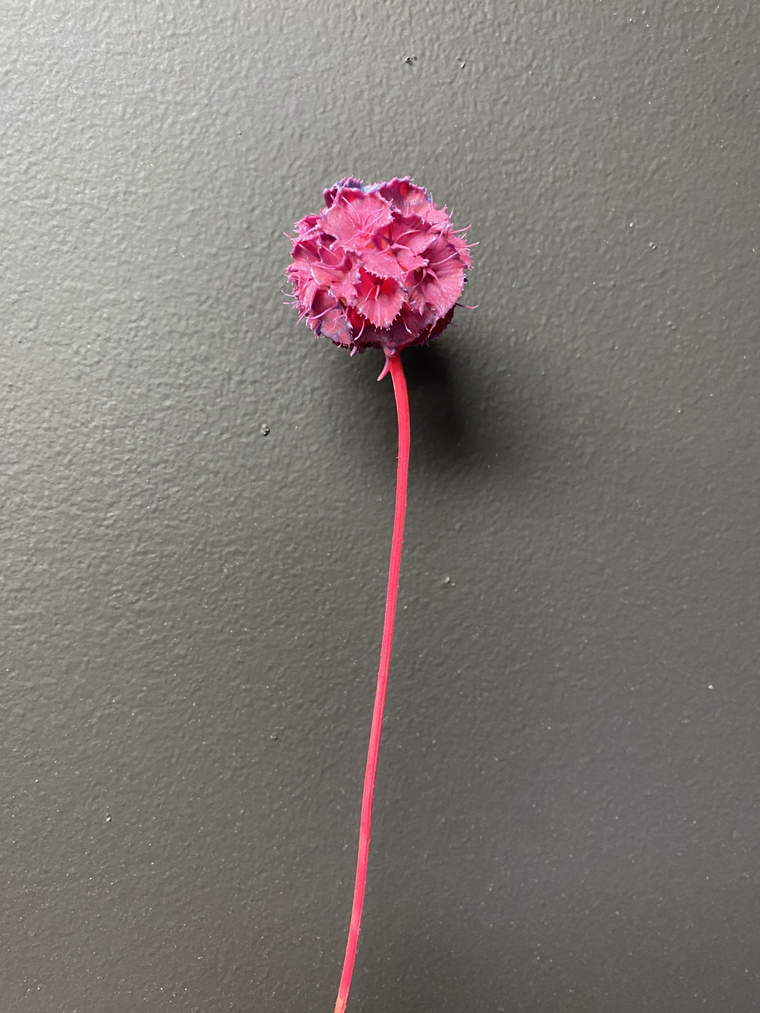 Photo Jan 15 2026, 10 40 31 AM.jpg