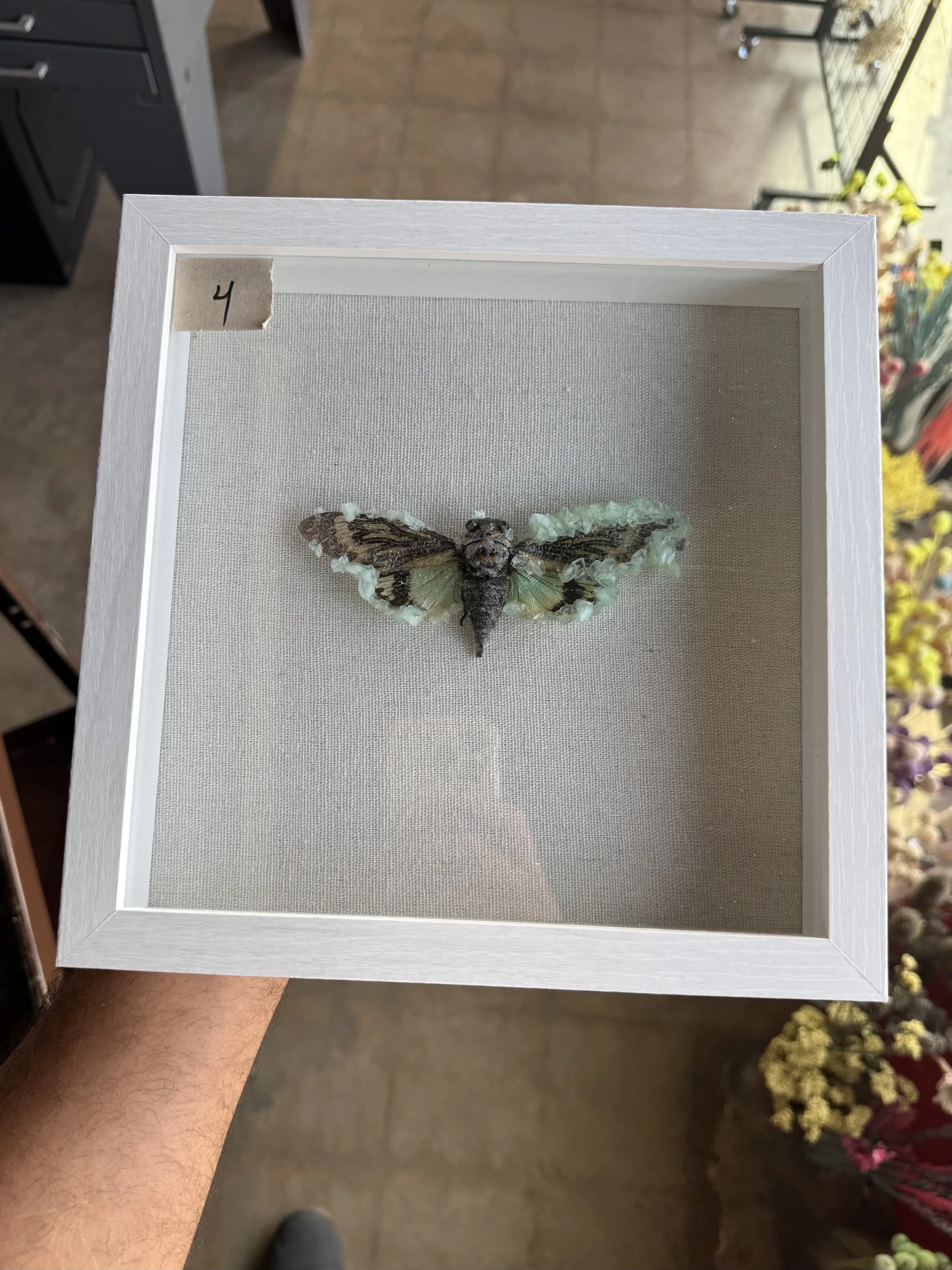 Photo Apr 29 2026, 10 07 21 AM.jpg