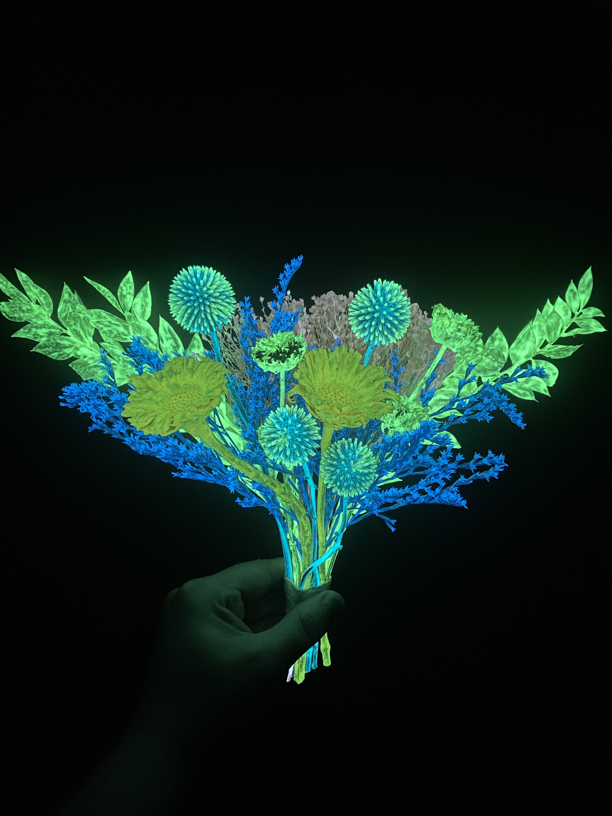 Photo Apr 28 2026, 11 35 58 AM.jpg