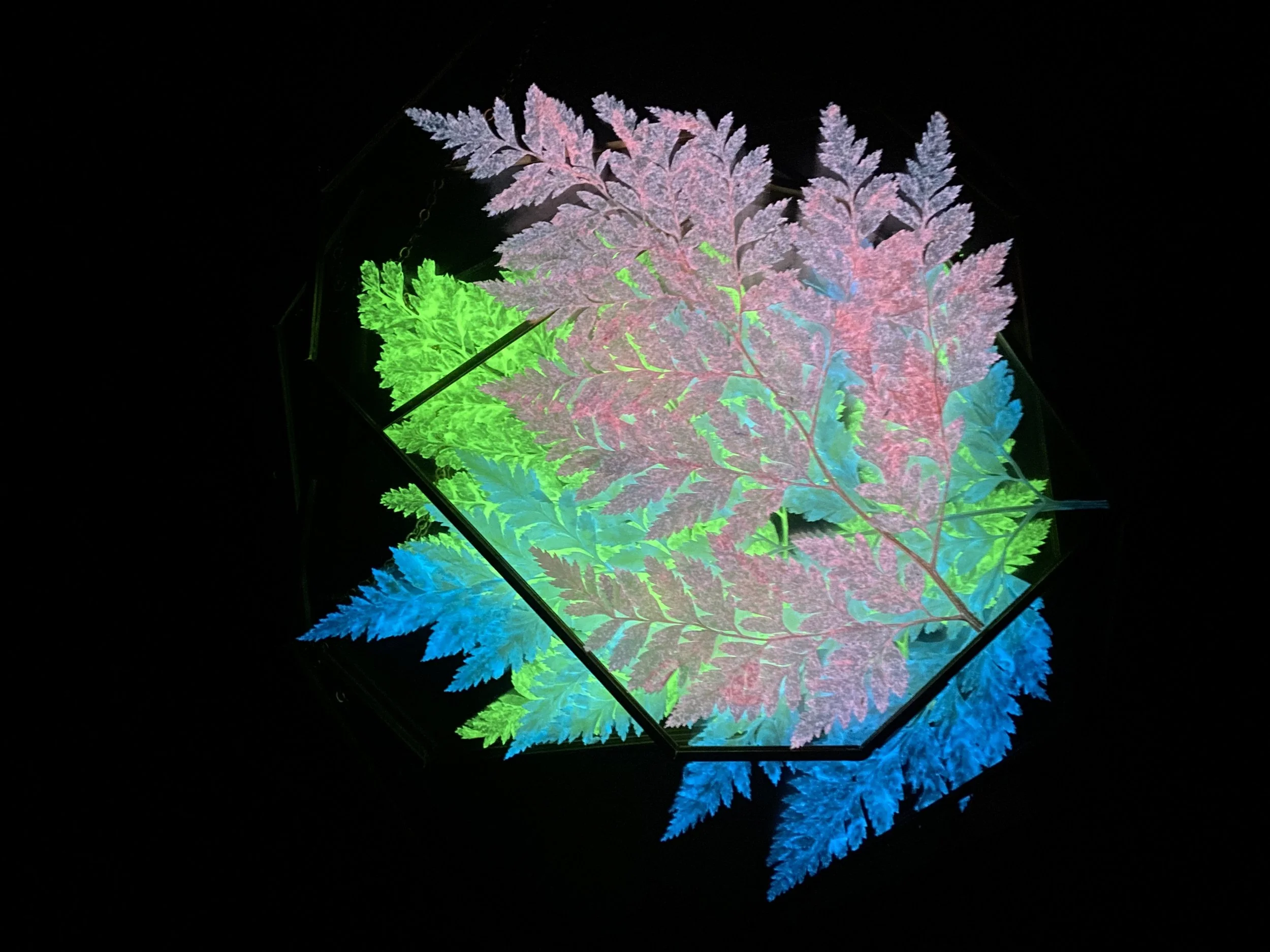 Photo Feb 26 2026, 11 45 20 AM.jpg