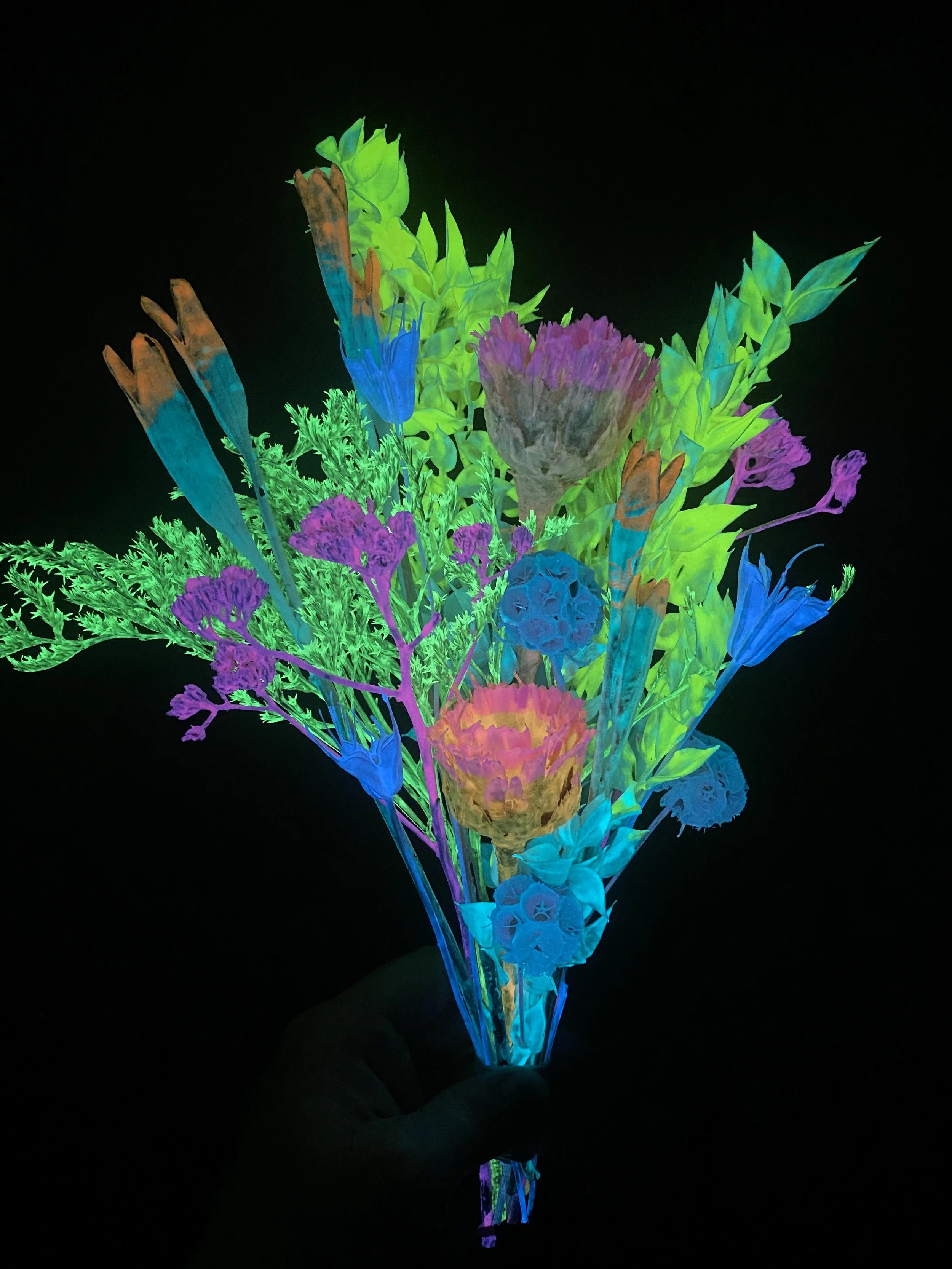 Photo Apr 28 2026, 1 12 30 PM.jpg